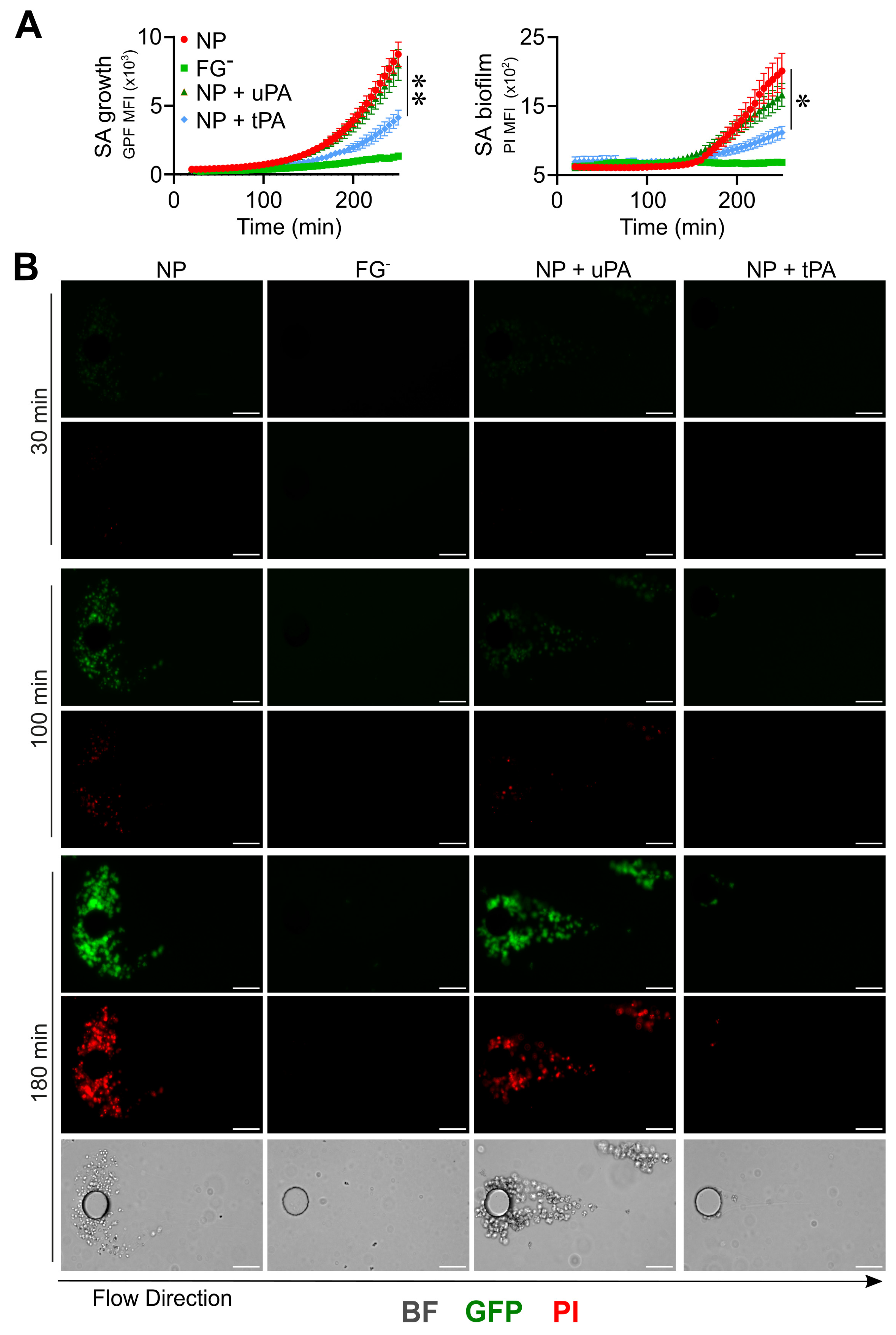 Pathogens 12 01141 g006 Pathogens 12 01141 g006
