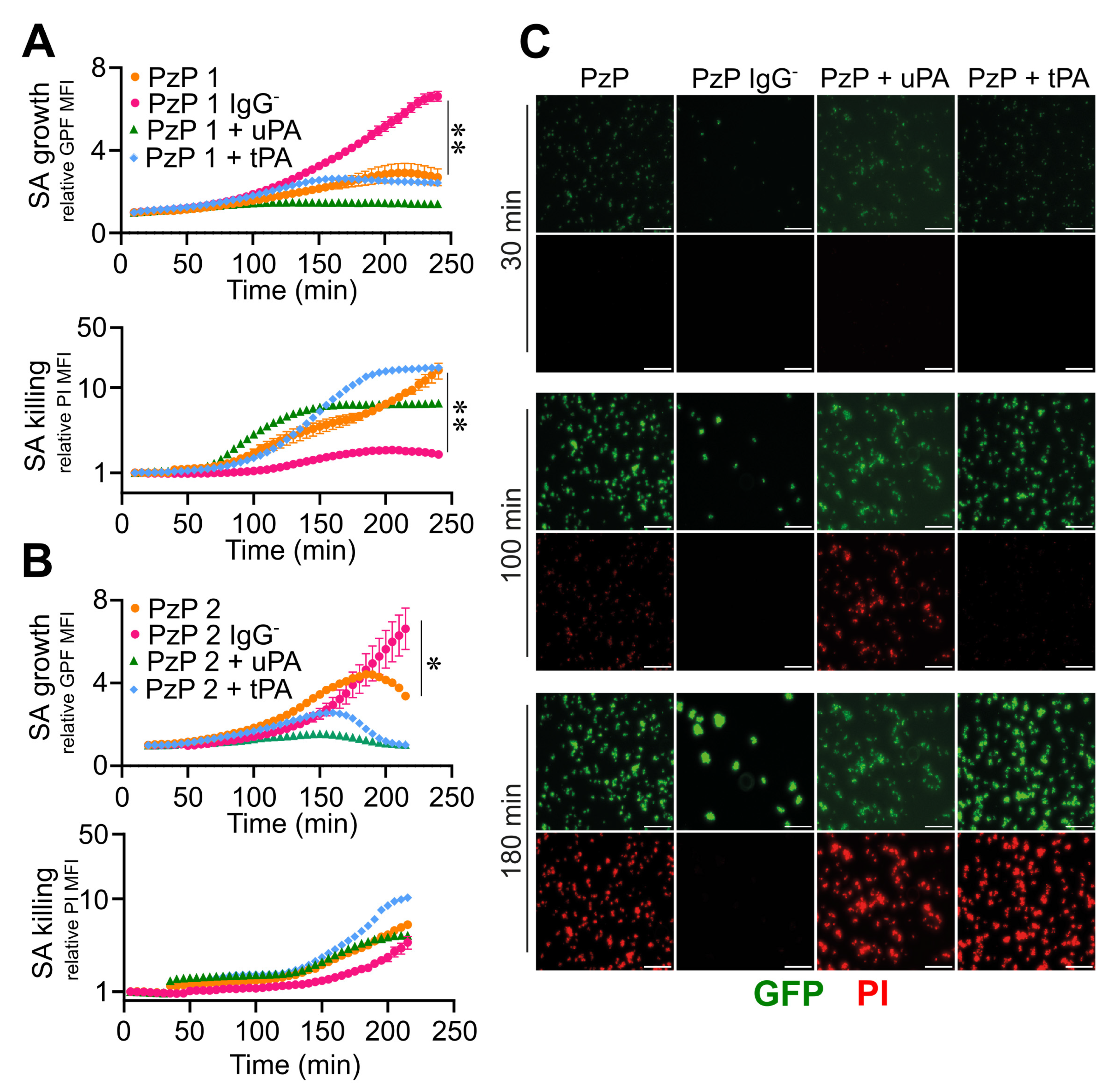 Pathogens 12 01141 g007 Pathogens 12 01141 g007