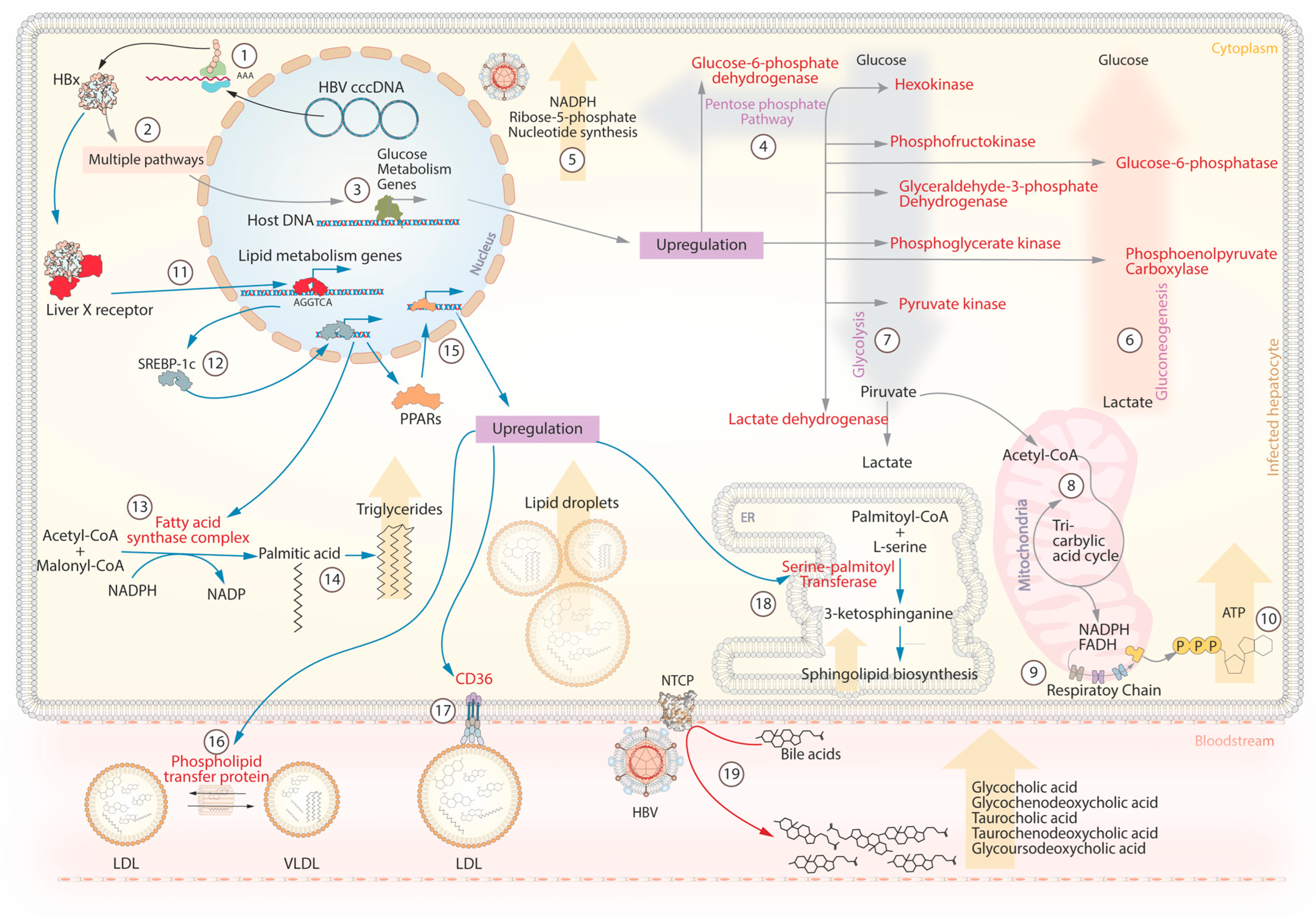 Pathogens 12 01146 g003