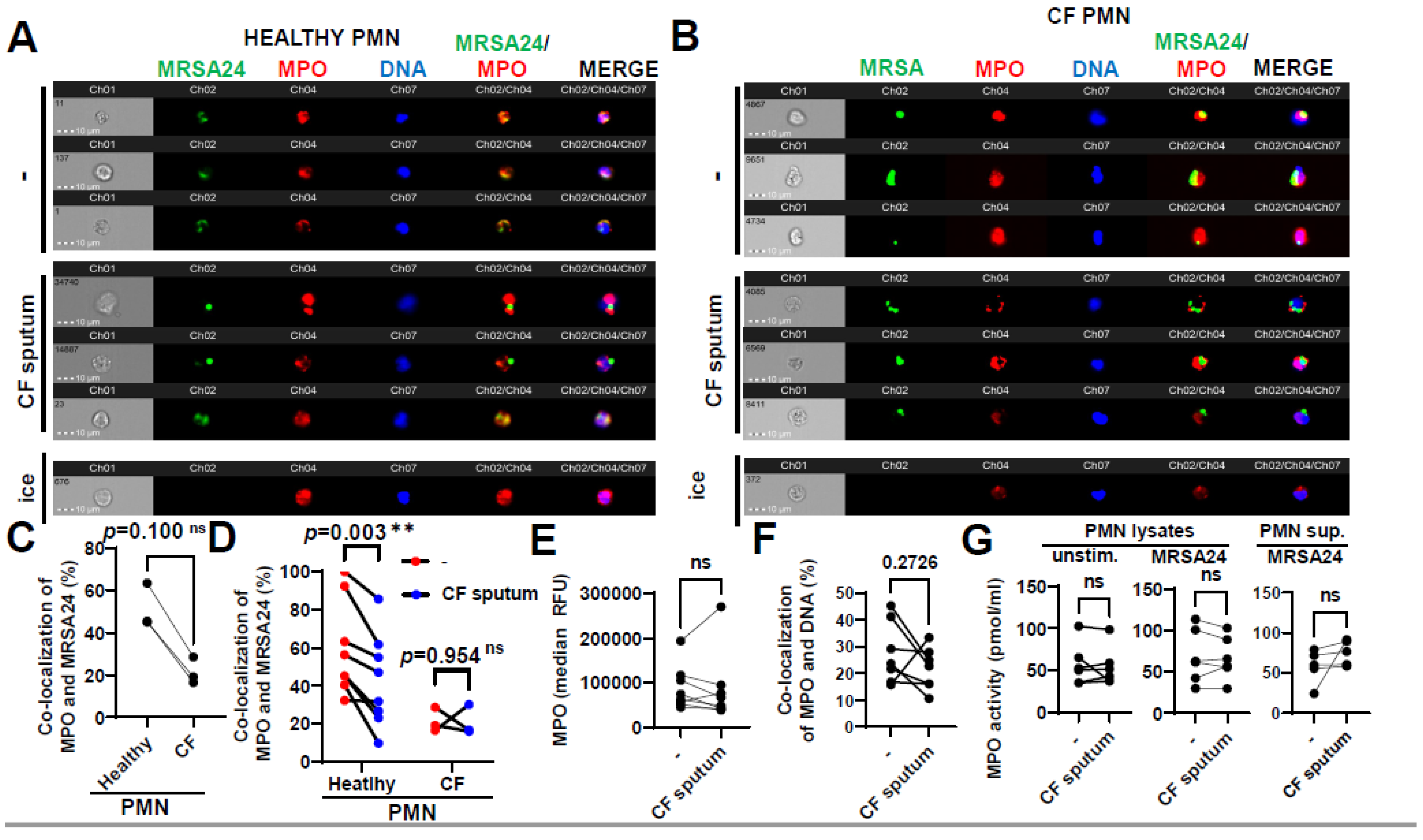 Pathogens 12 01148 g005 Pathogens 12 01148 g005