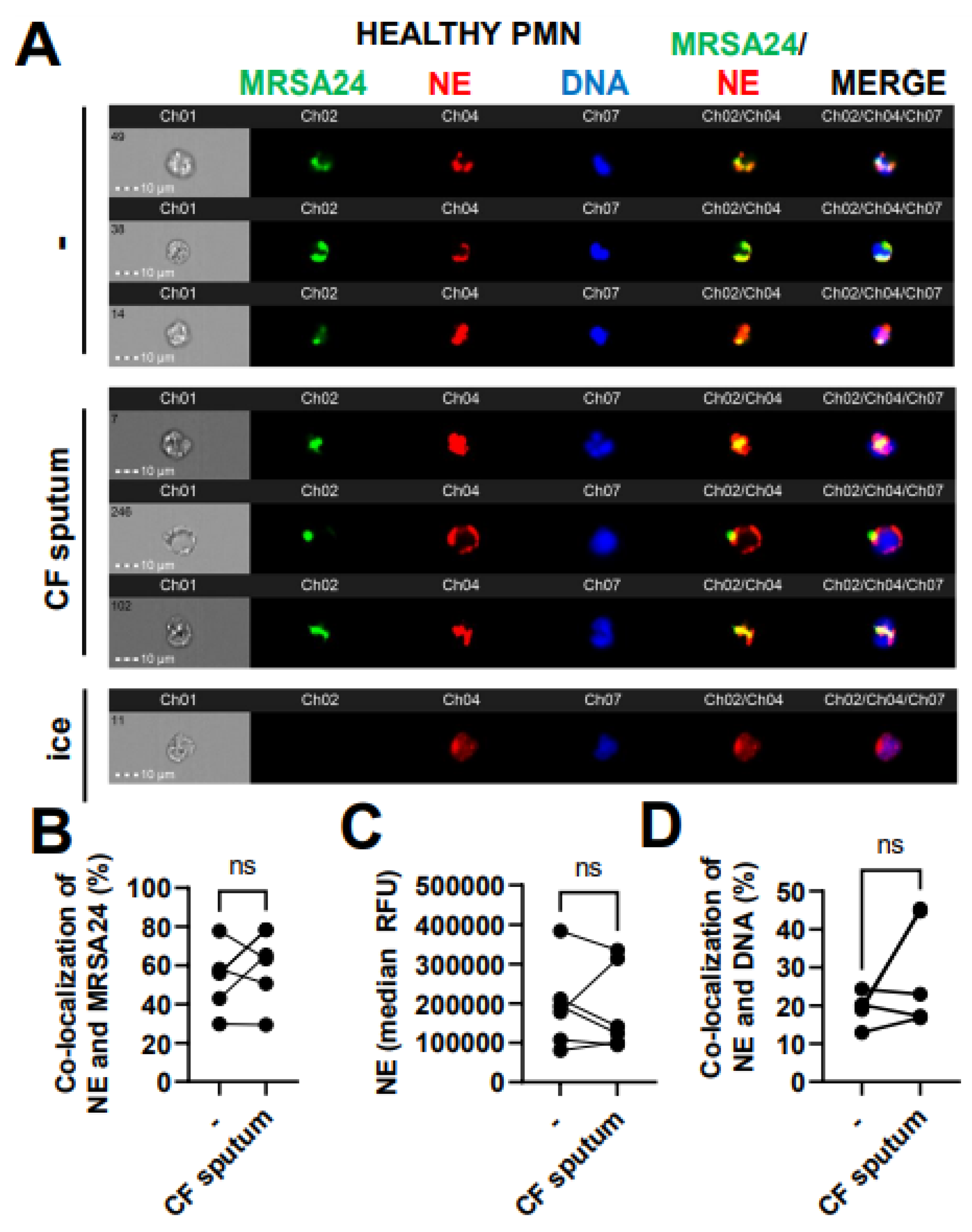 Pathogens 12 01148 g006 Pathogens 12 01148 g006