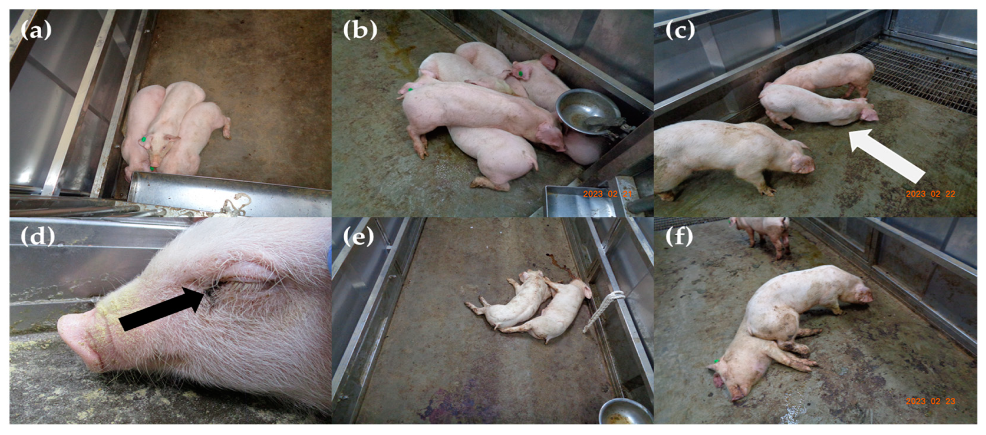 Pathogens 12 01158 g002