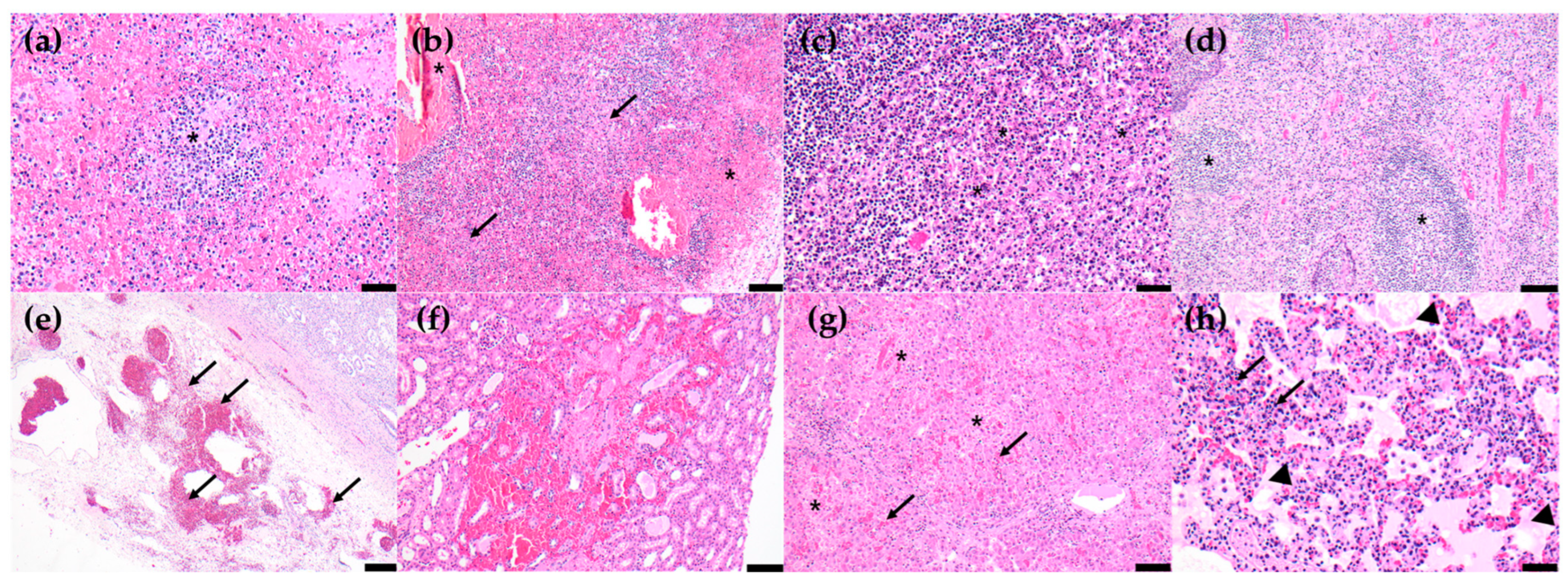 Pathogens 12 01158 g004