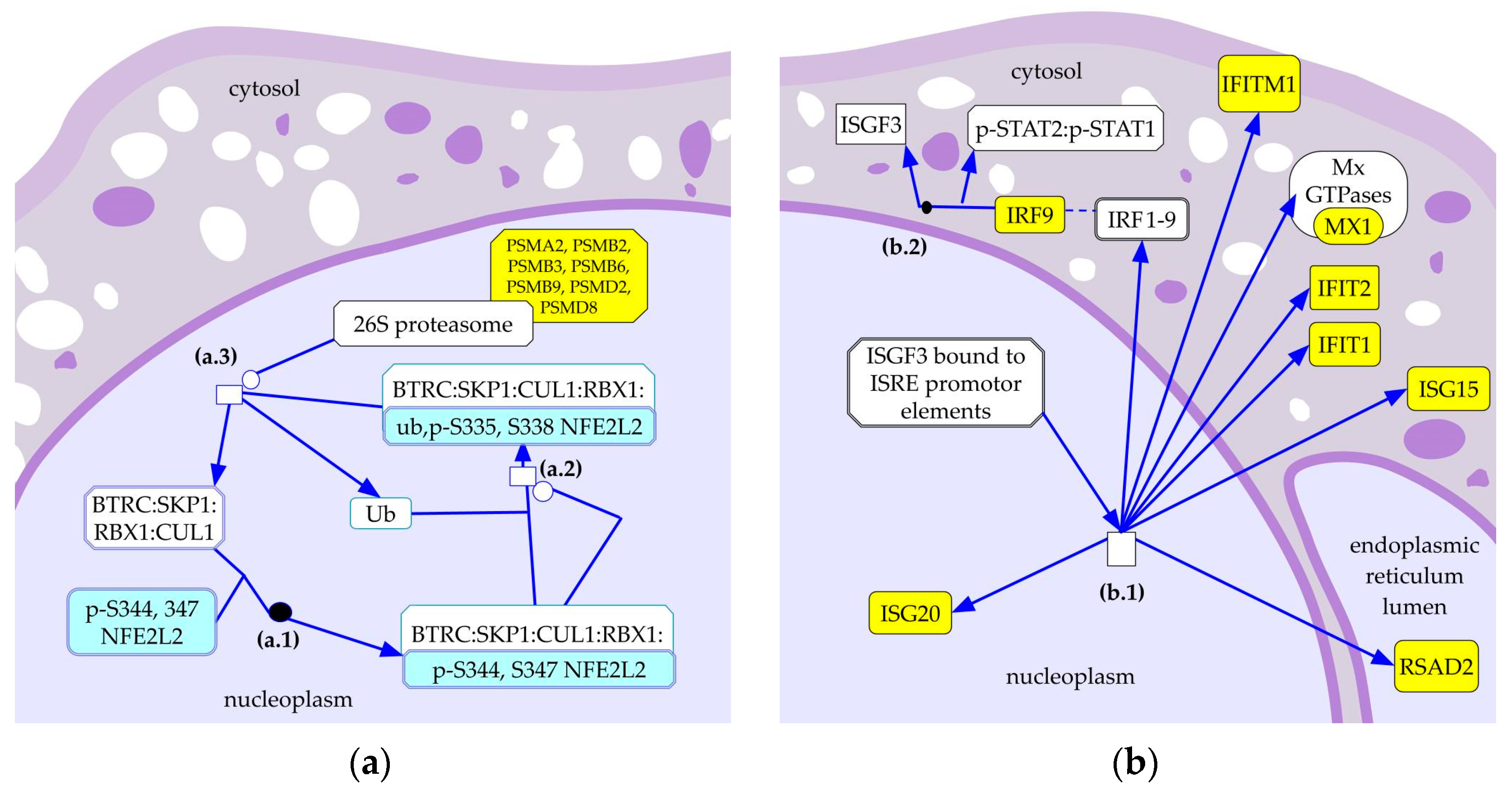 Pathogens 12 01159 g002