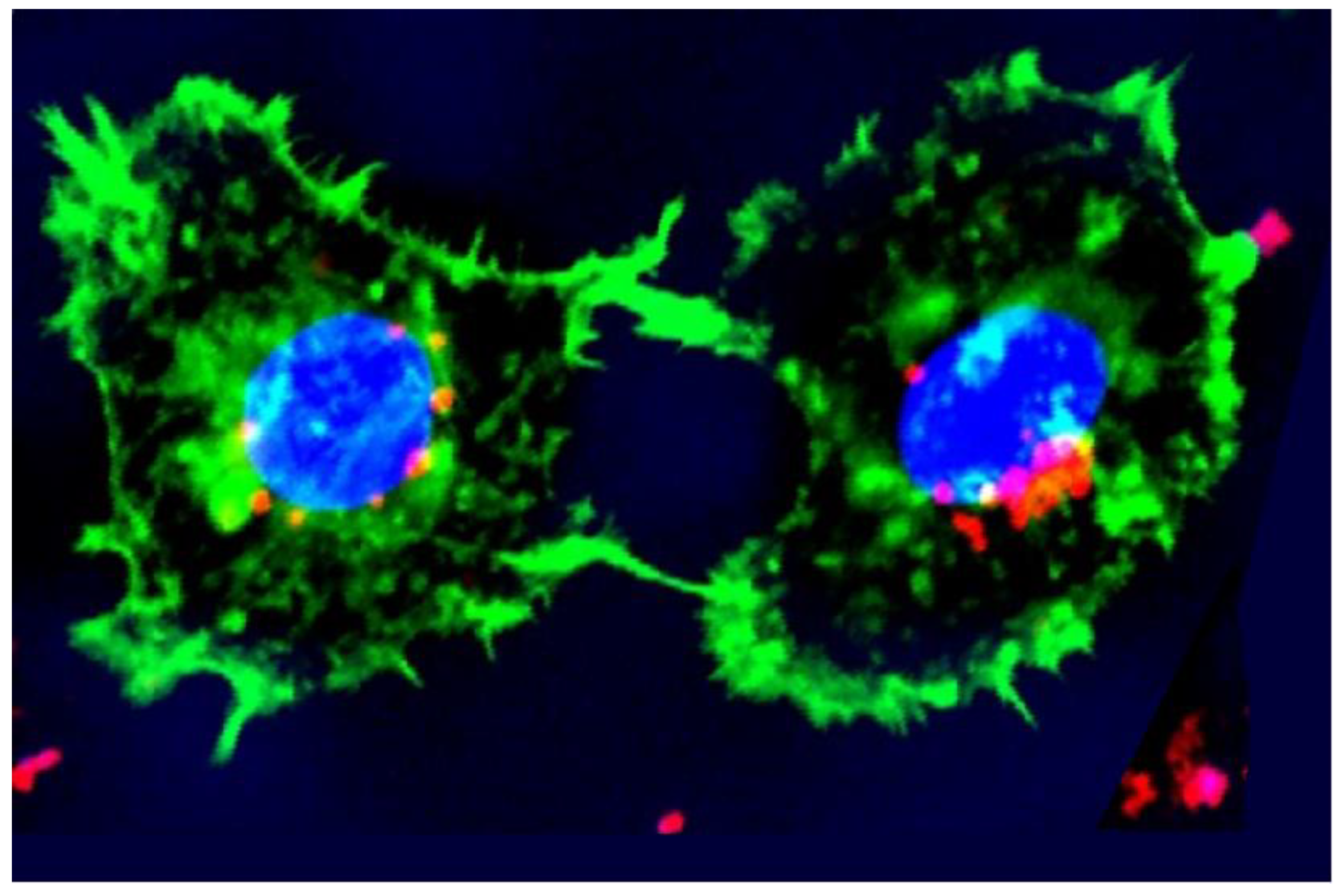 Pathogens 12 01160 g001