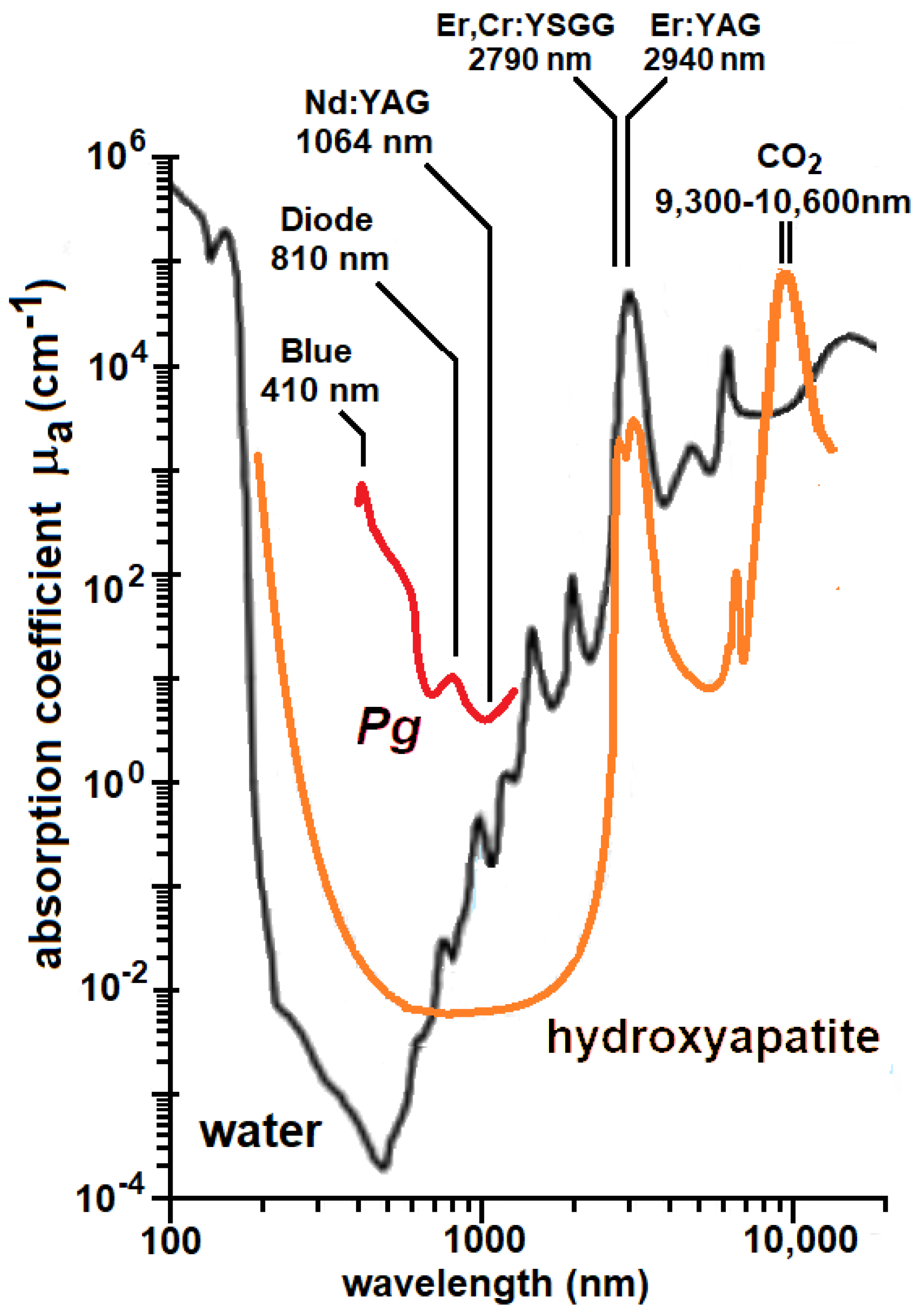 Pathogens 12 01160 g008