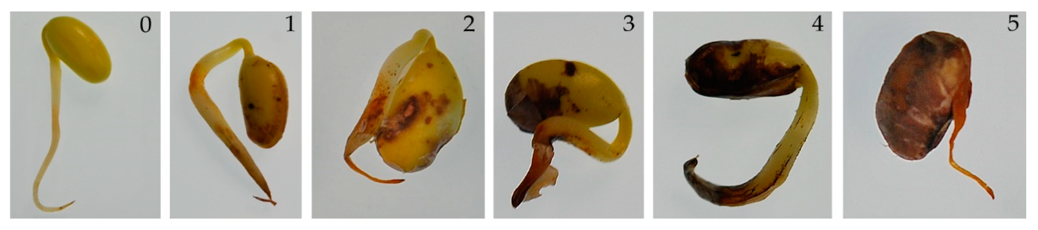 Pathogens 12 01162 g001
