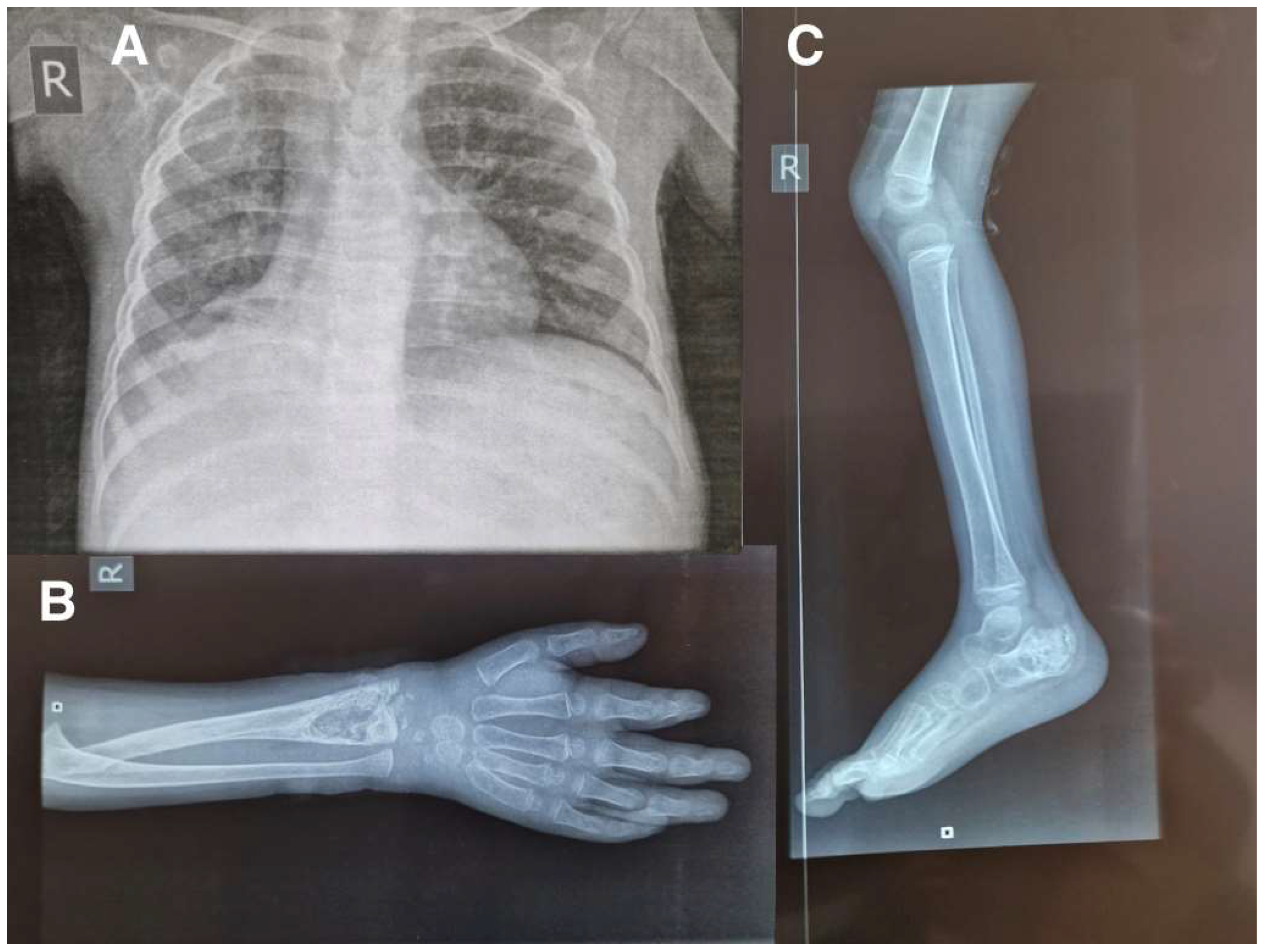 Pathogens 12 01163 g003