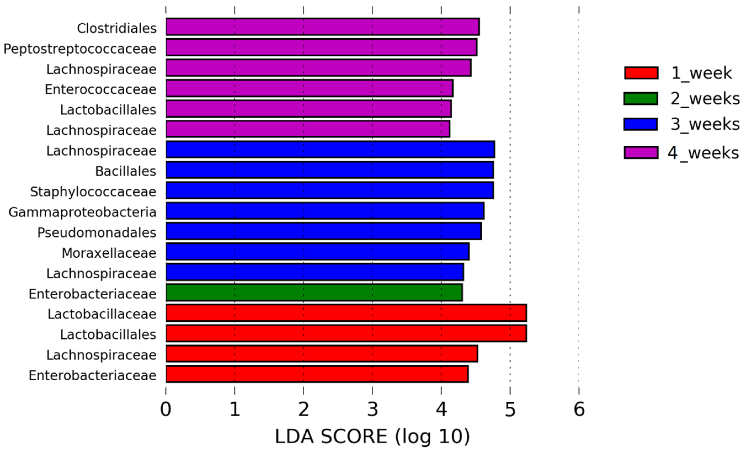 Pathogens 12 01168 g004