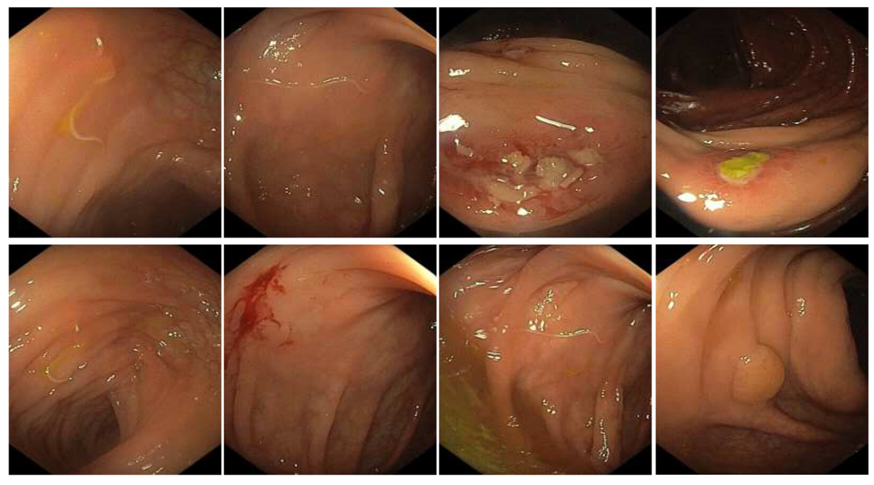 Pathogens 12 01172 g002