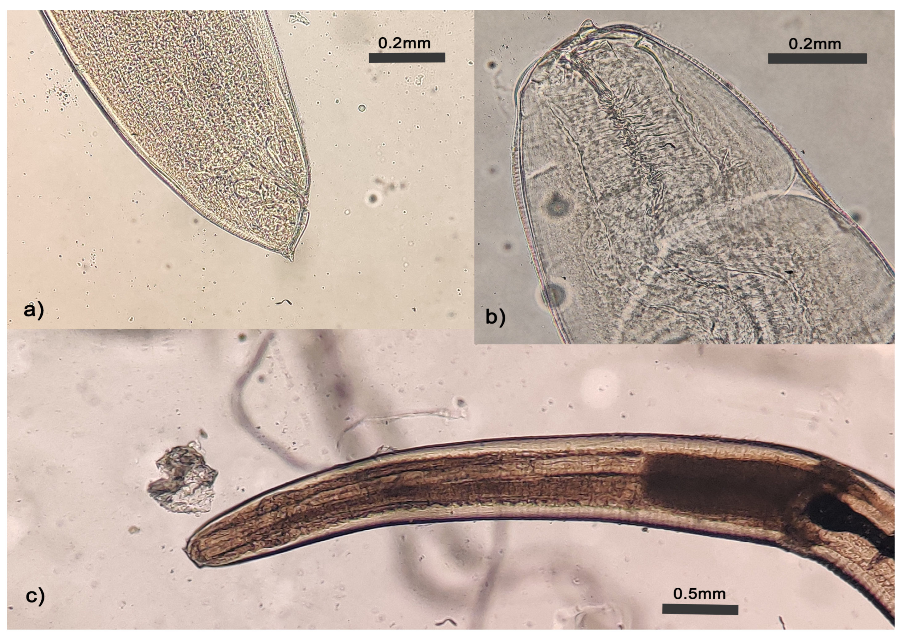 Pathogens 12 01172 g004