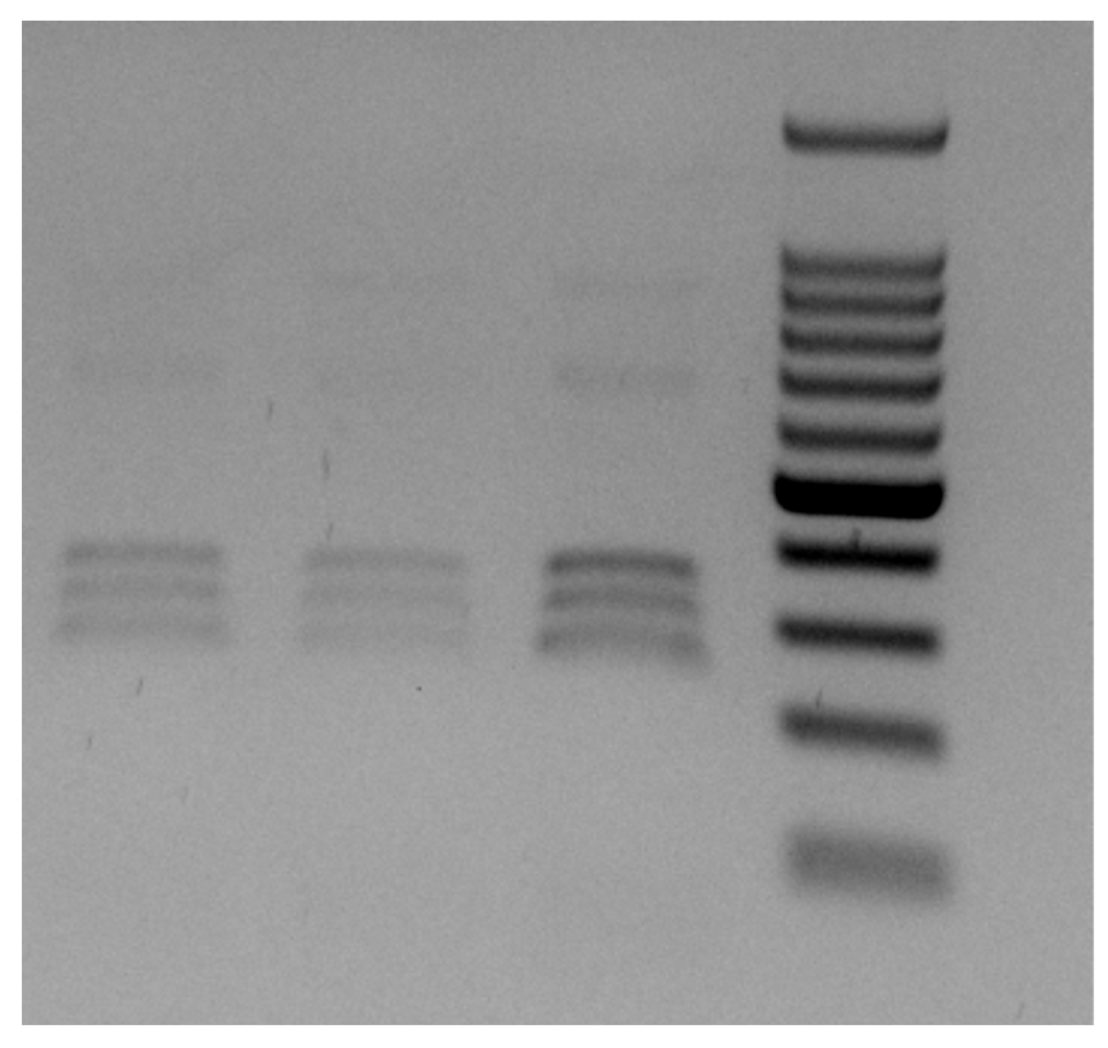 Pathogens 12 01172 g005