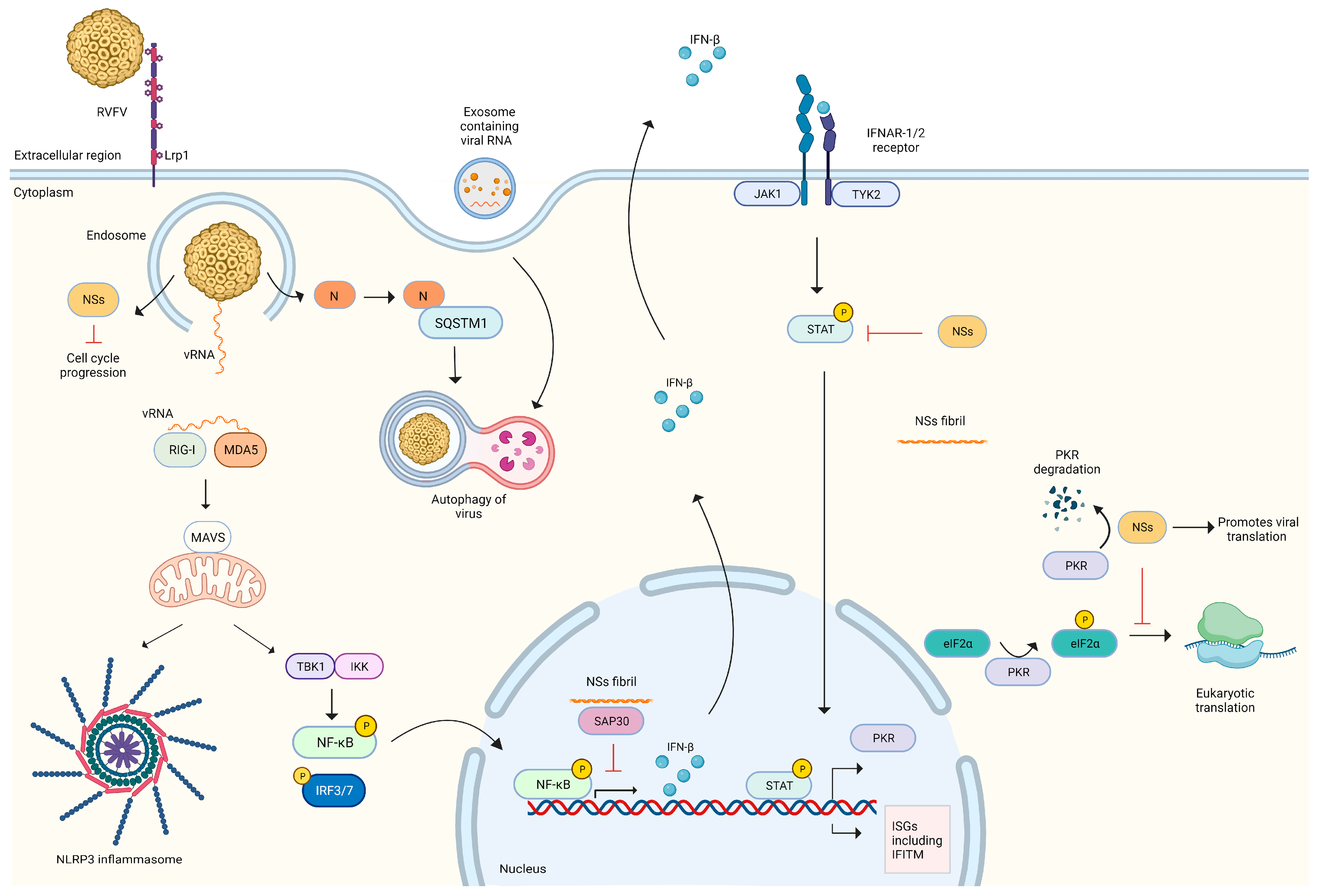 Pathogens 12 01174 g001 Pathogens 12 01174 g001