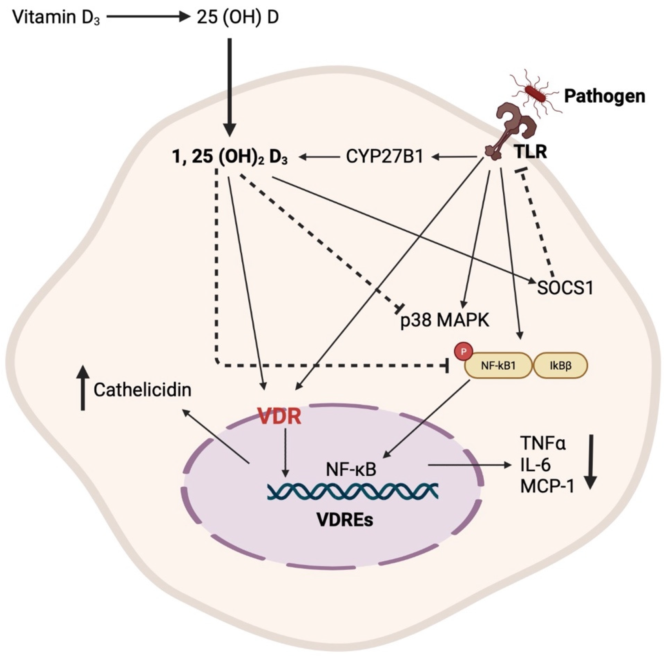 Pathogens 12 01180 g001