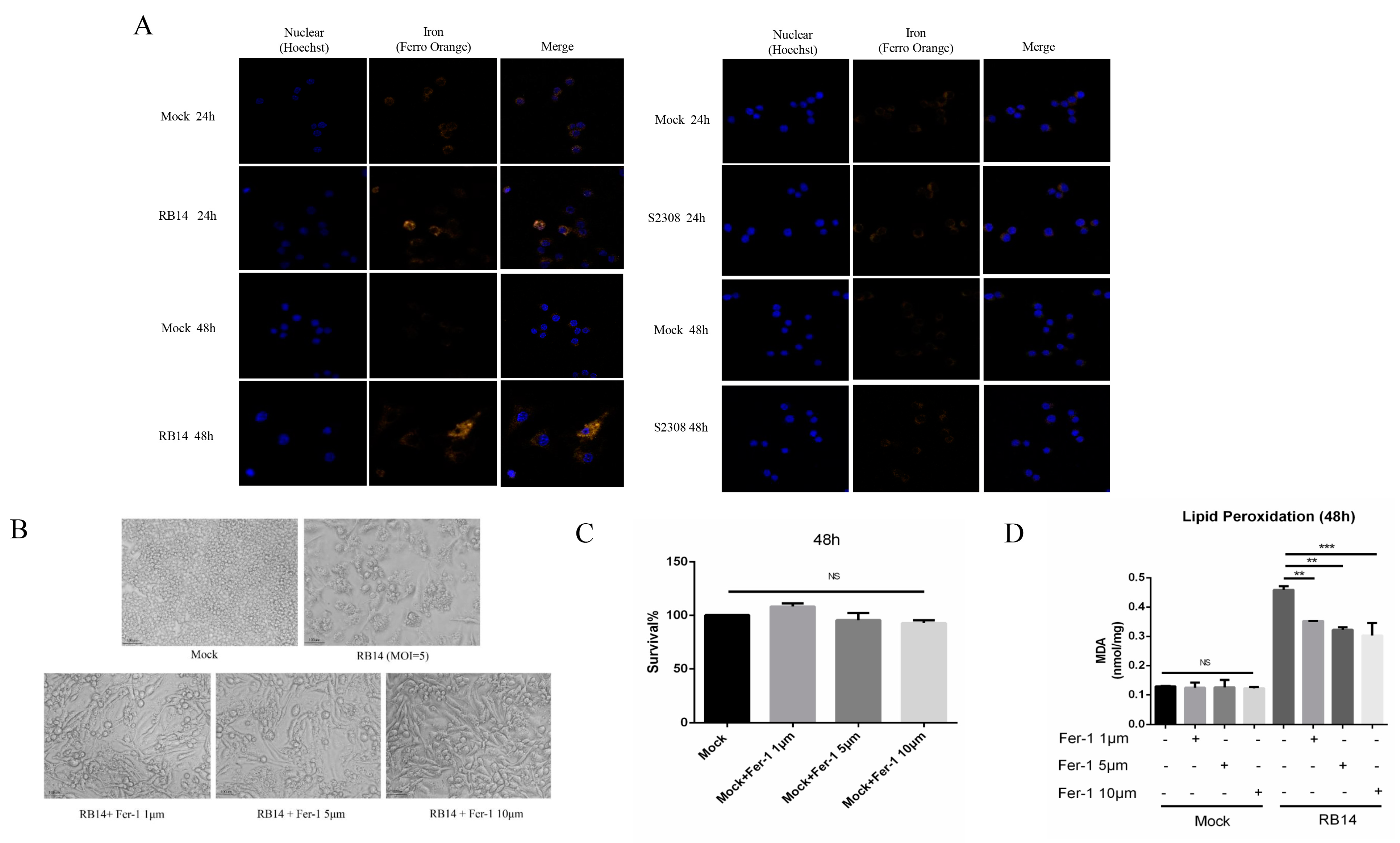 Pathogens 12 01189 g005 Pathogens 12 01189 g005