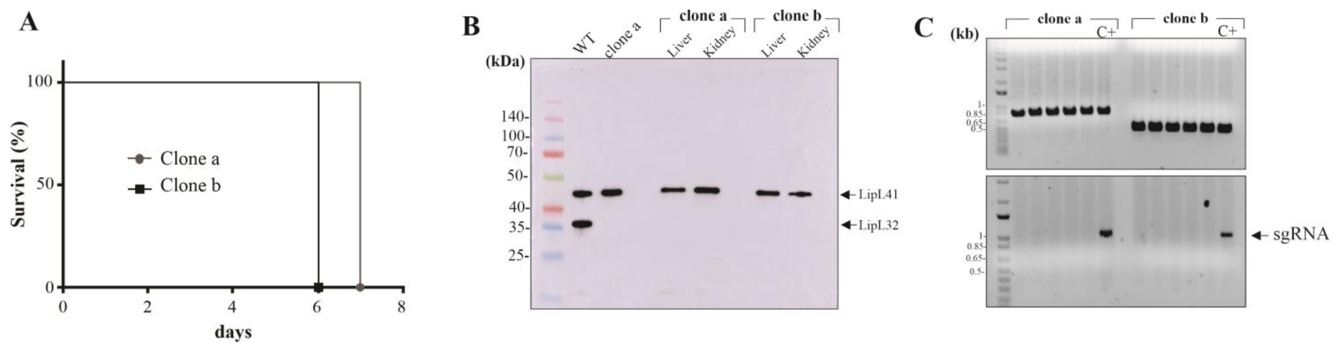 Pathogens 12 01191 g001