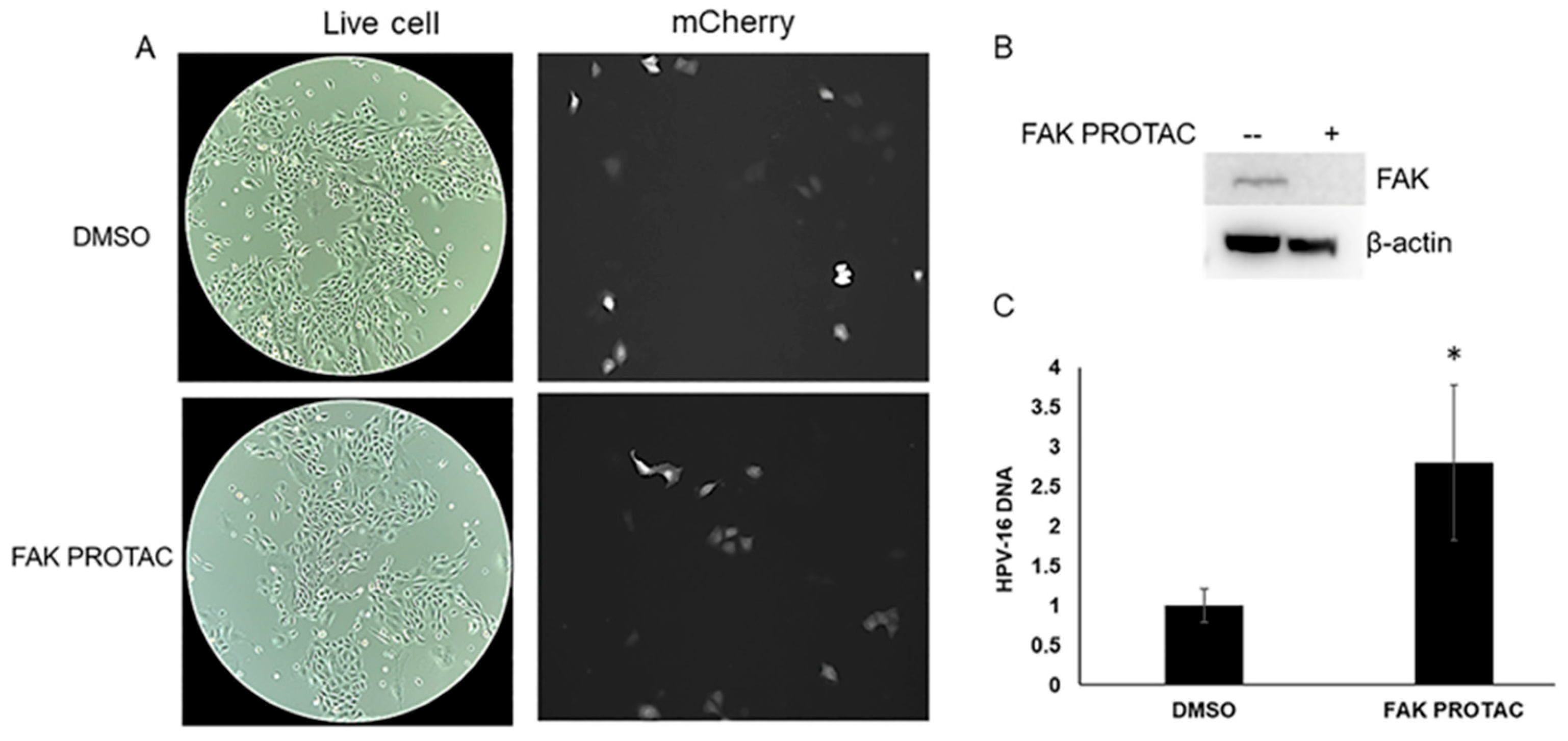Pathogens 12 01203 g006