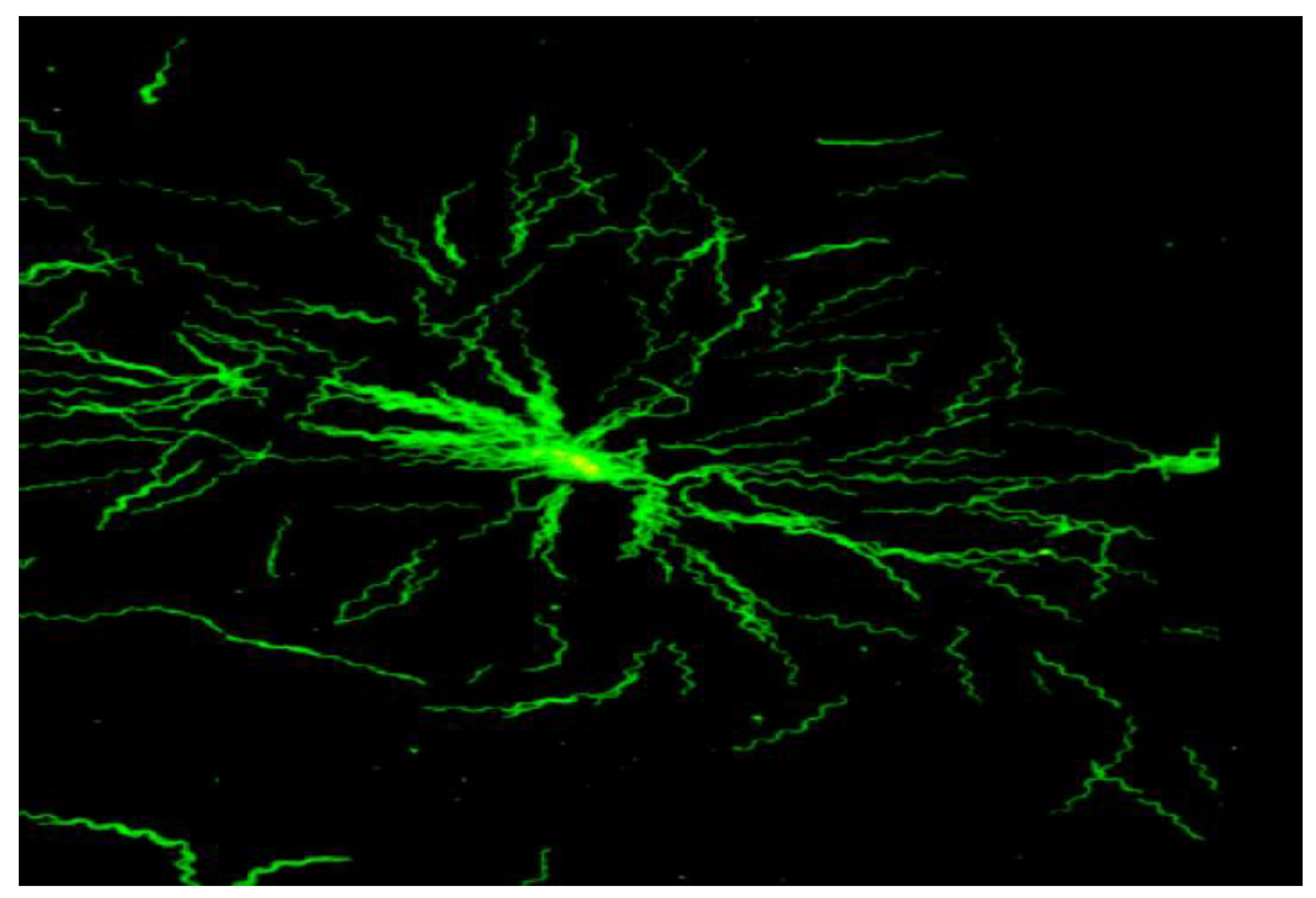 Pathogens 12 01204 g001 Pathogens 12 01204 g001