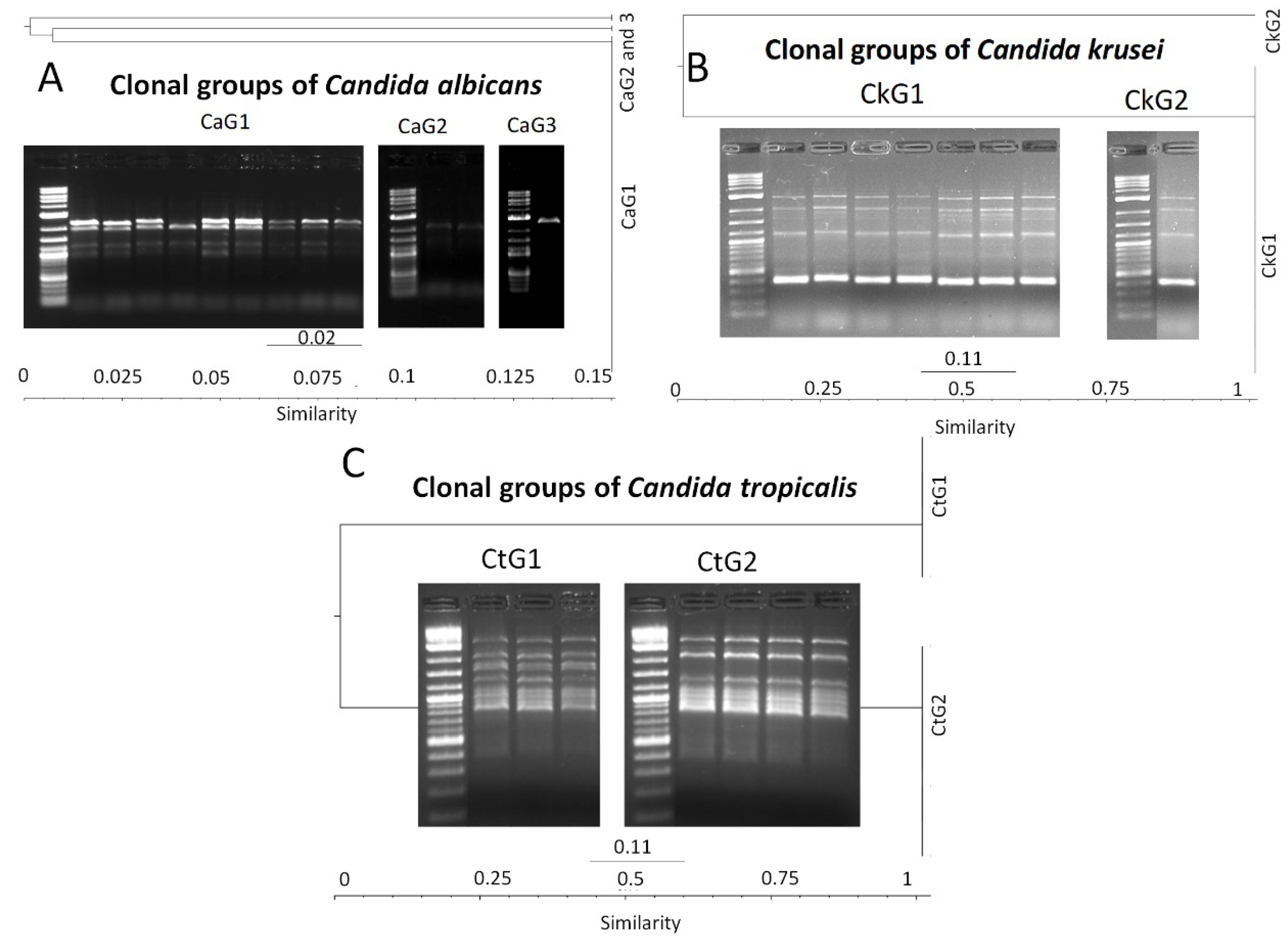 Pathogens 12 01206 g003