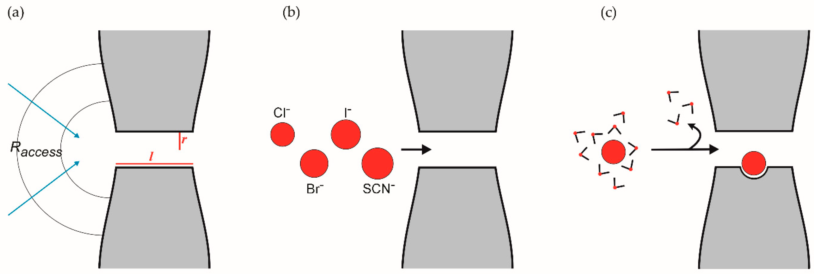 Pathogens 12 01211 g001