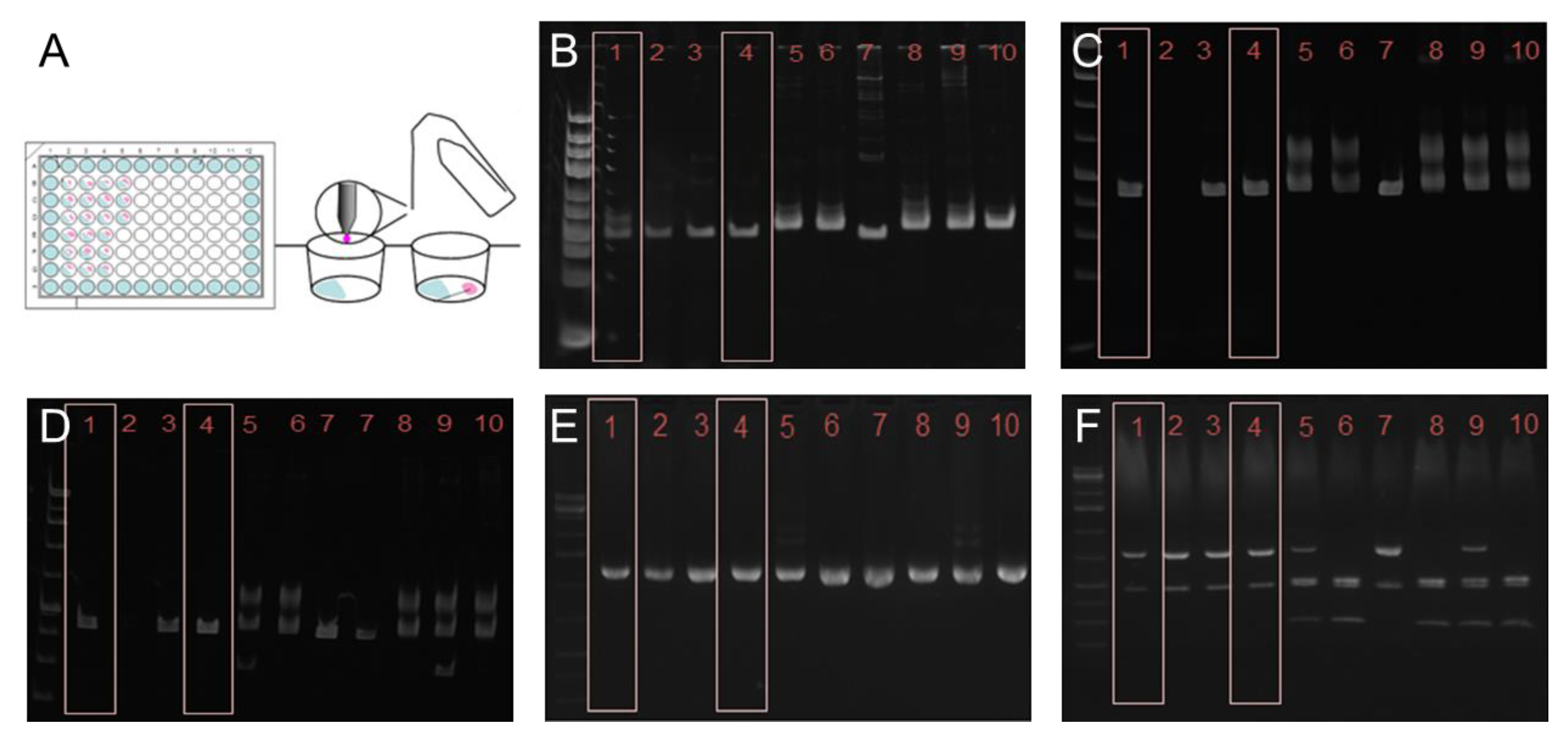 Pathogens 12 01217 g001