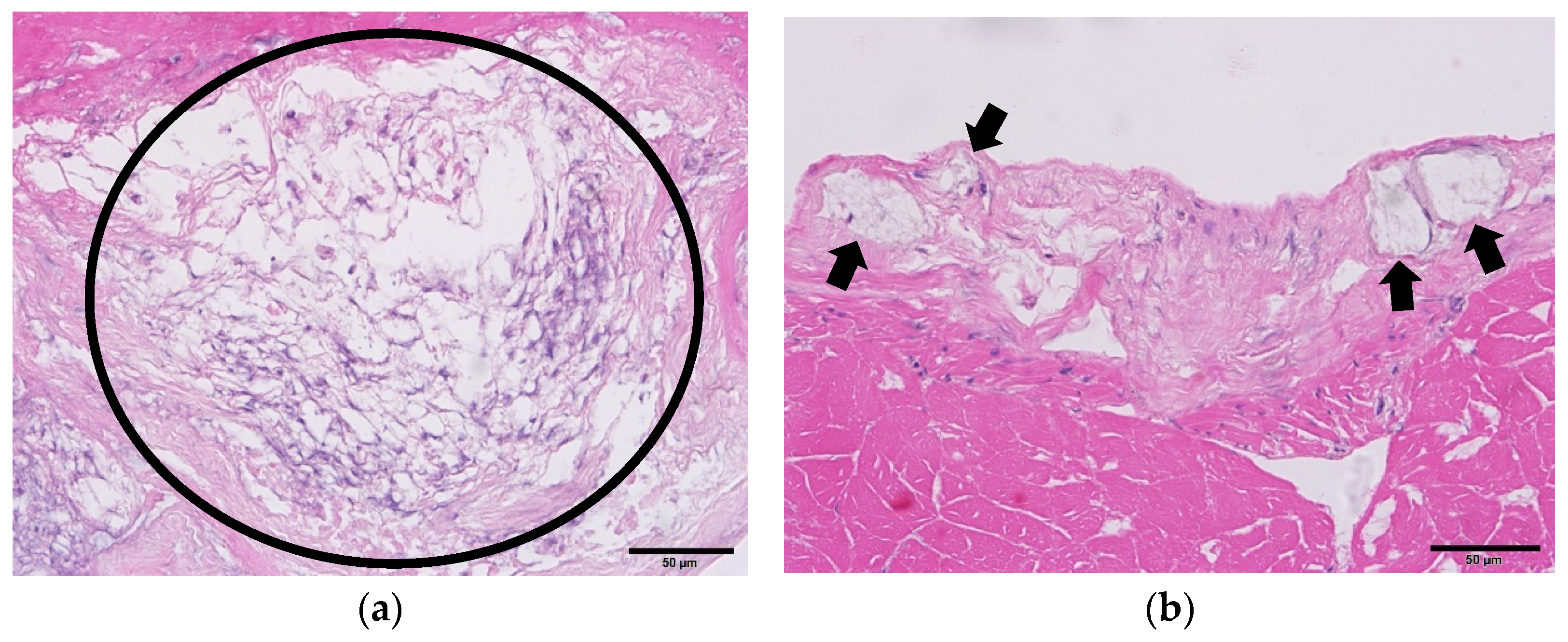 Pathogens 12 01228 g001