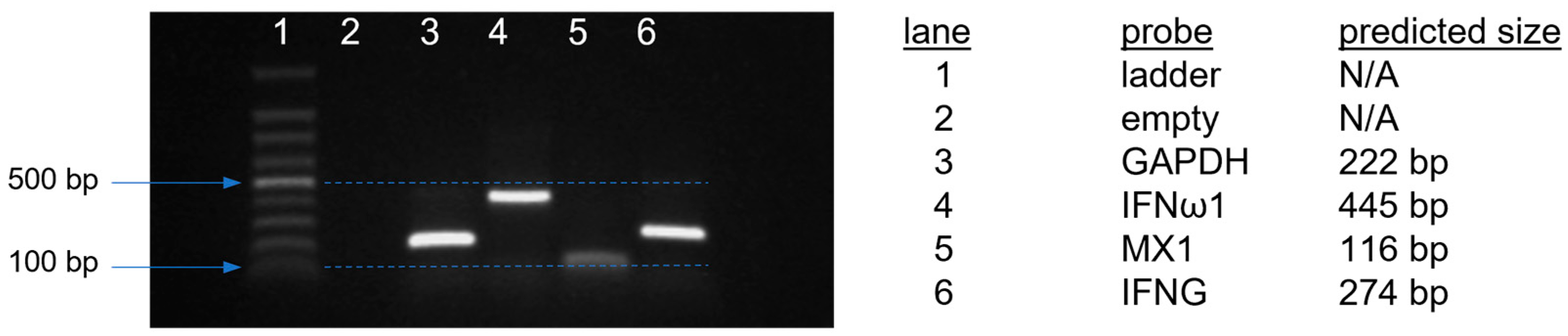 Pathogens 12 01230 g001