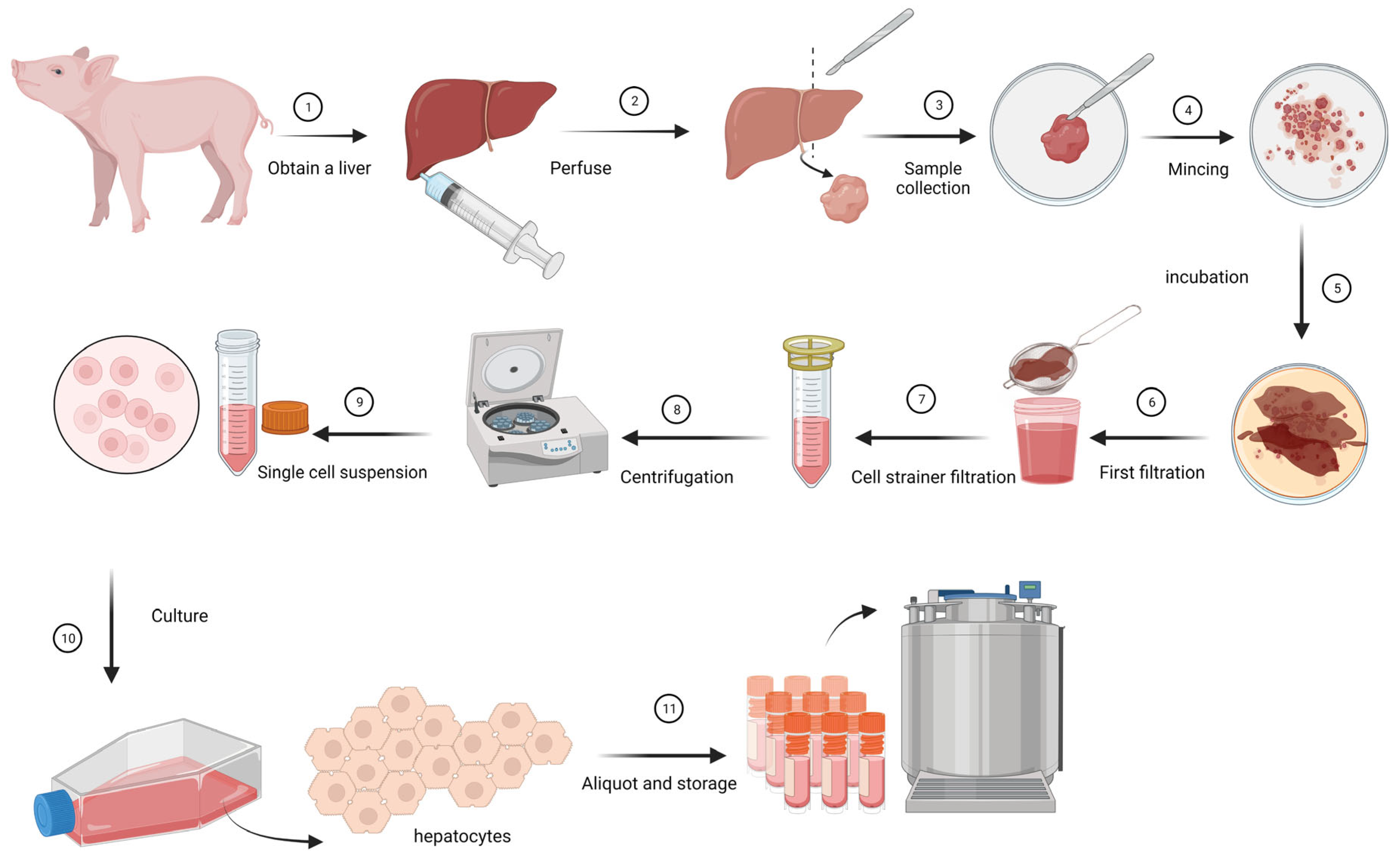 Pathogens 12 01231 g001