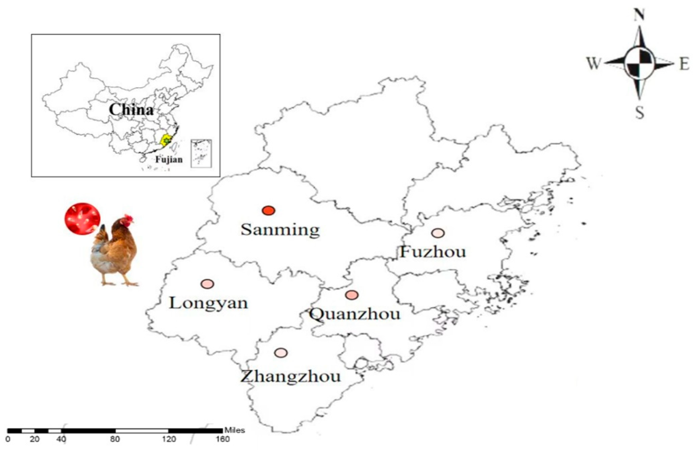 Pathogens 12 01243 g001