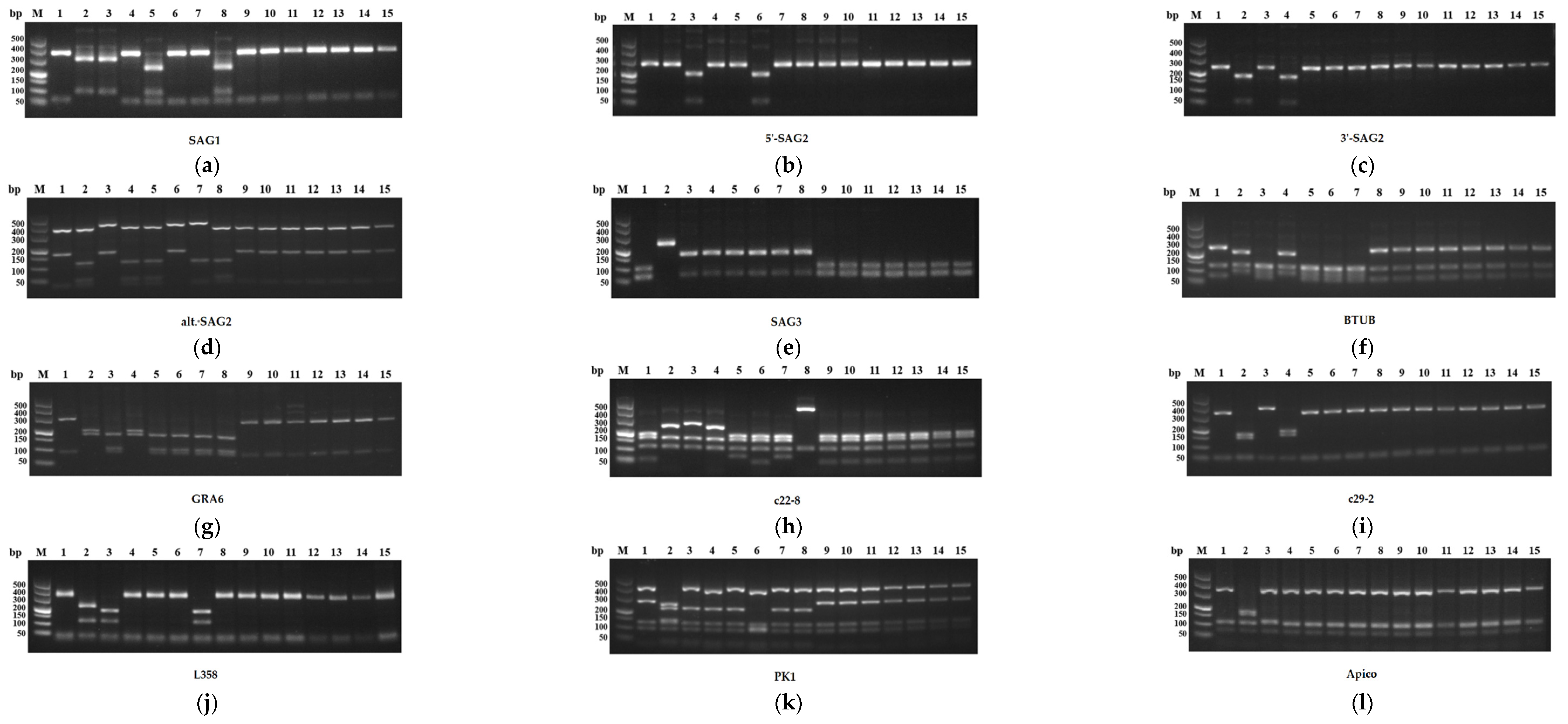 Pathogens 12 01243 g002