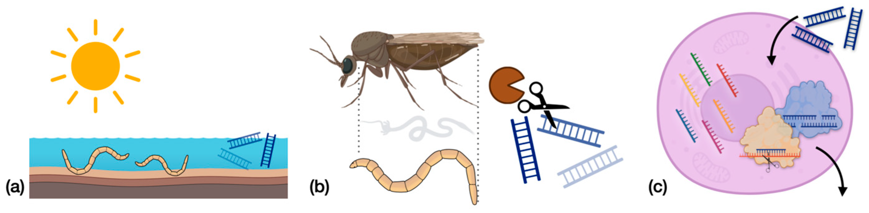 Pathogens 12 01251 g002