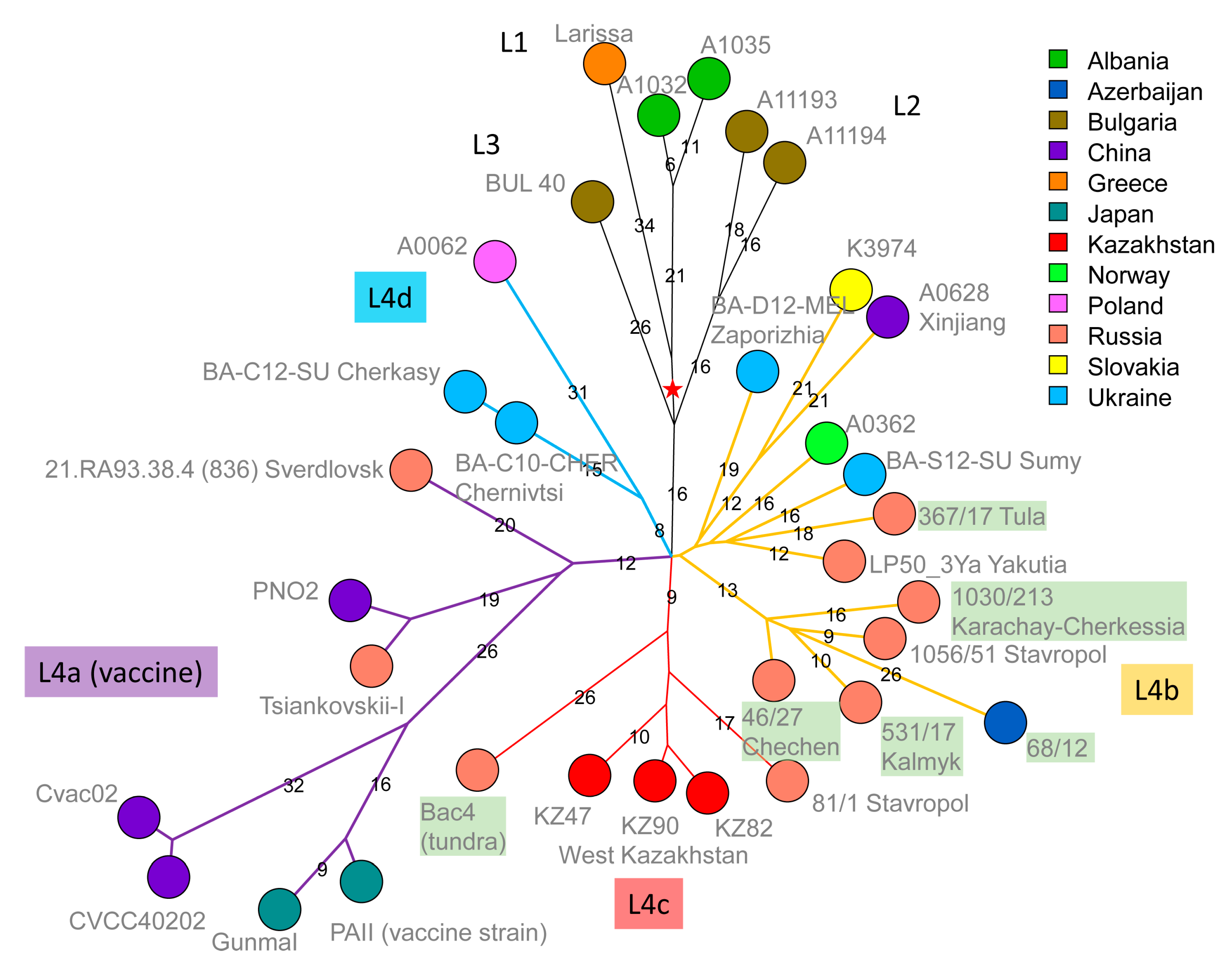 Pathogens 12 01257 g004