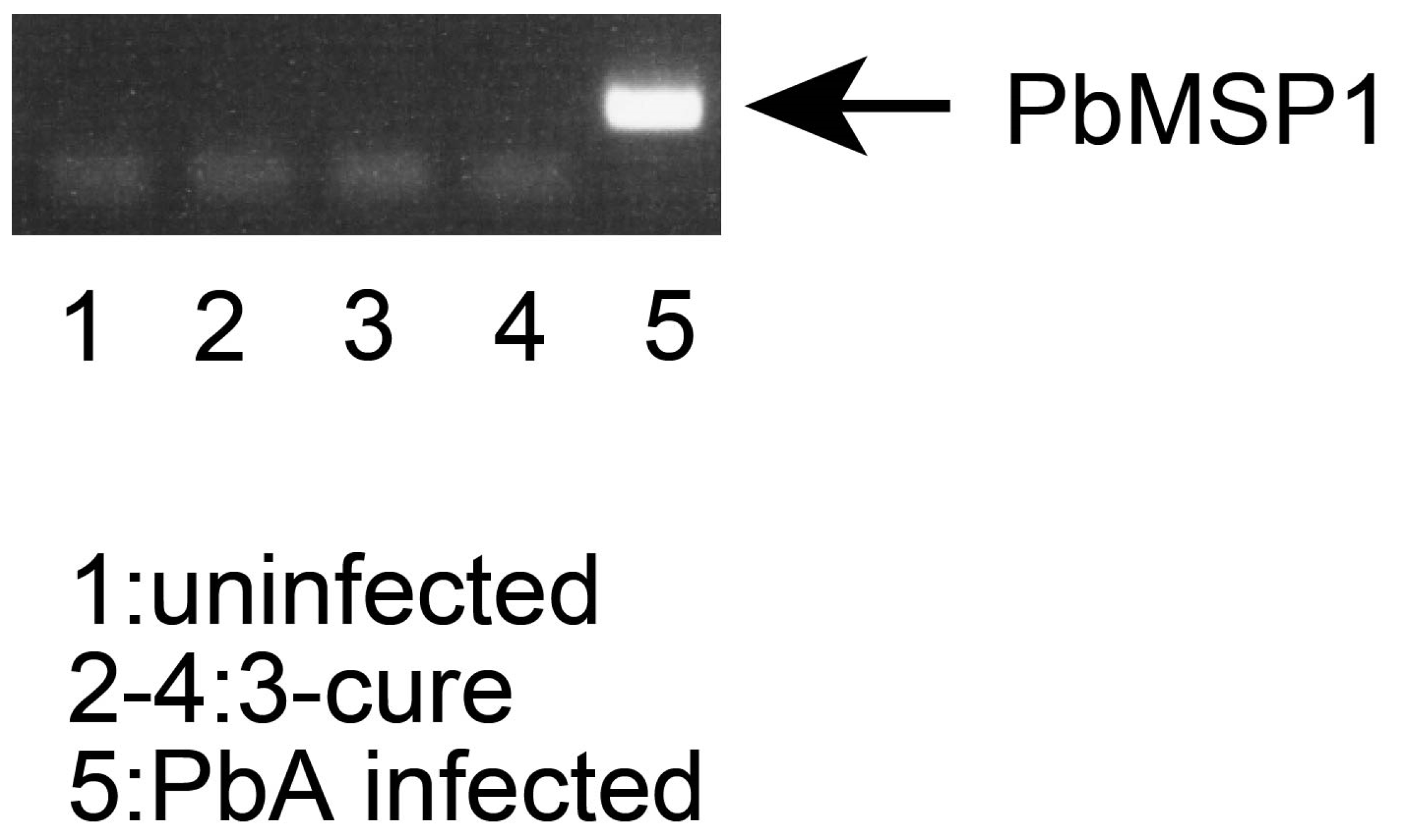 Pathogens 12 01262 g001