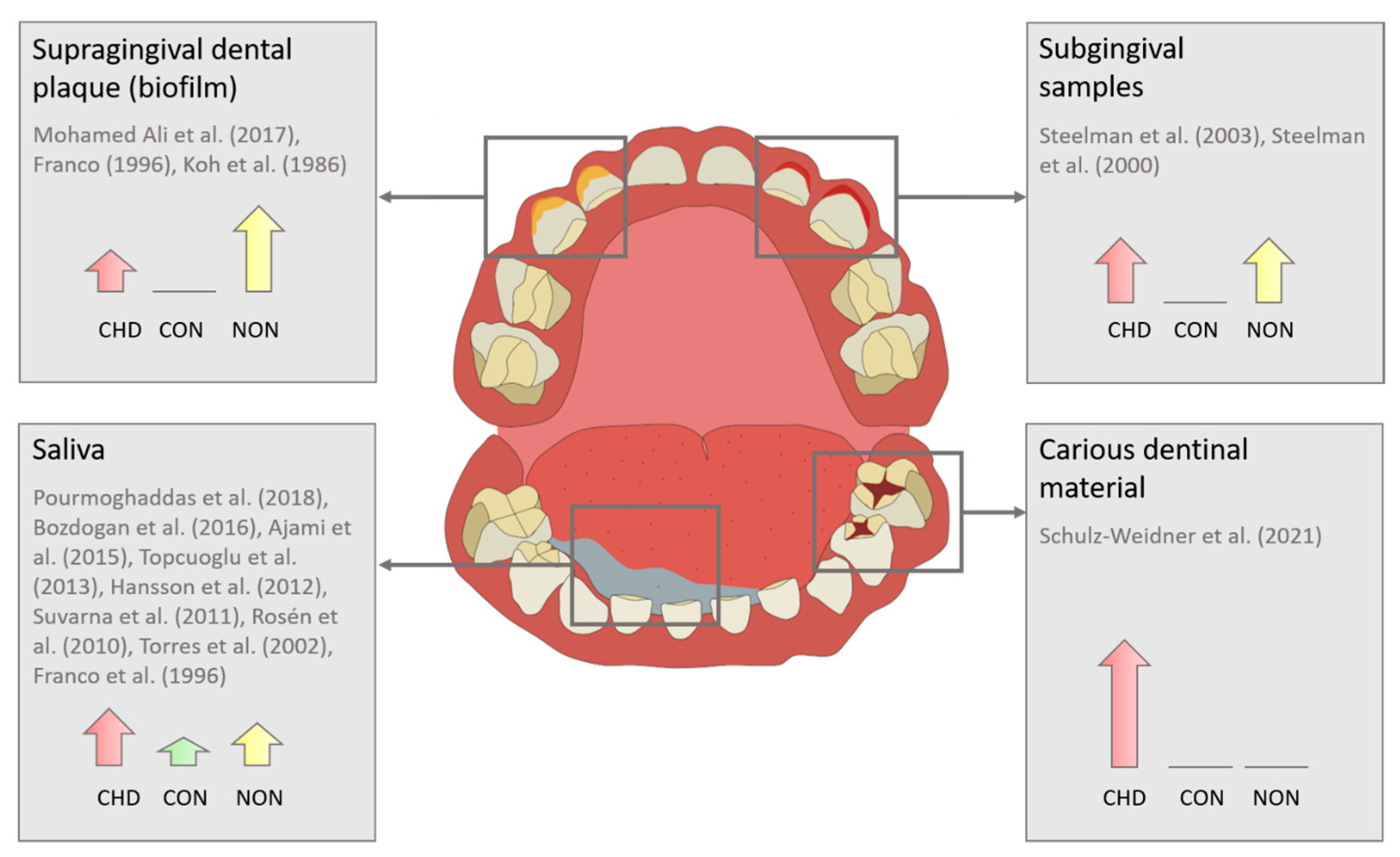 Pathogens 12 01269 g003