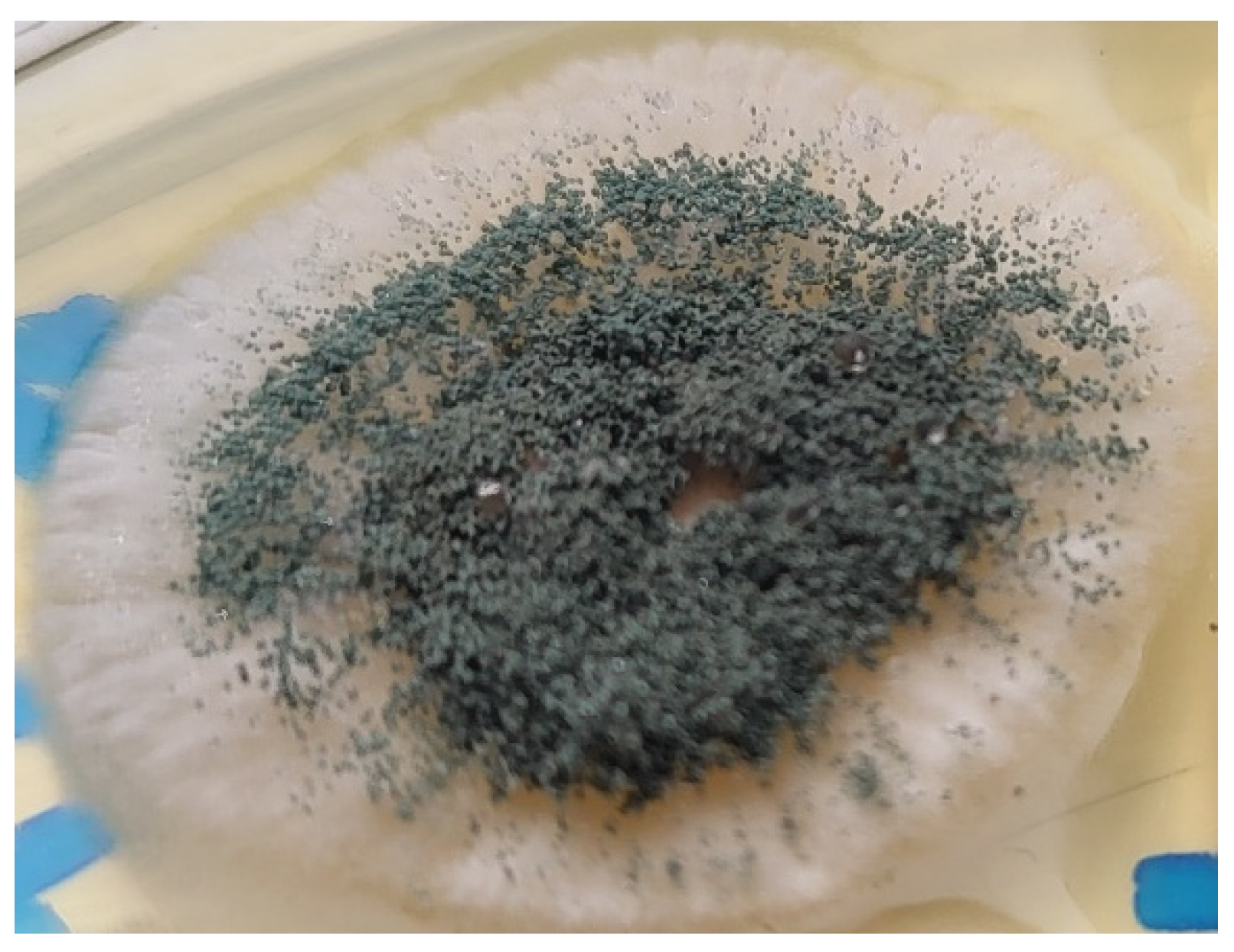 Pathogens 12 01270 g001