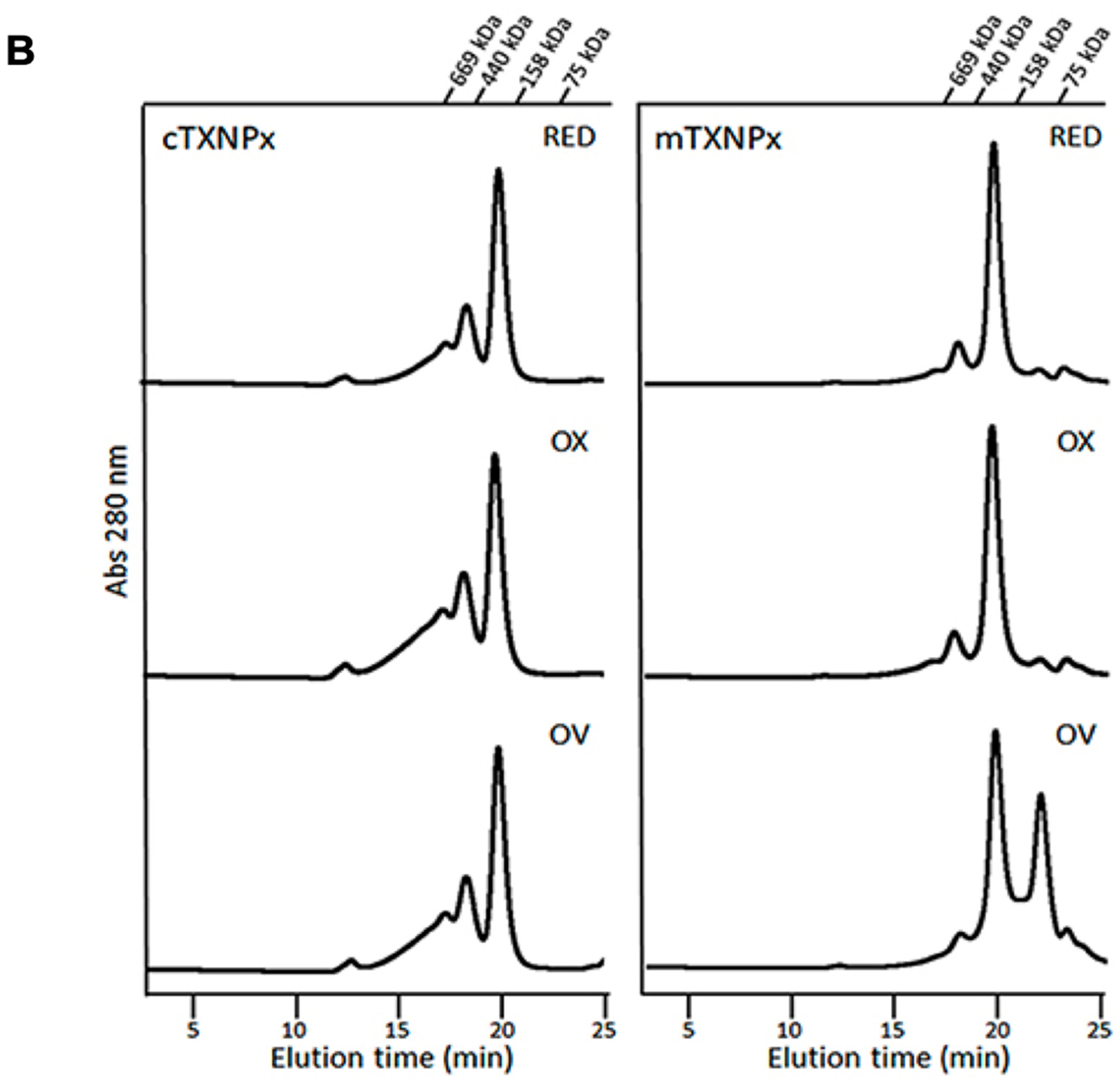Pathogens 12 01273 g001b Pathogens 12 01273 g001b