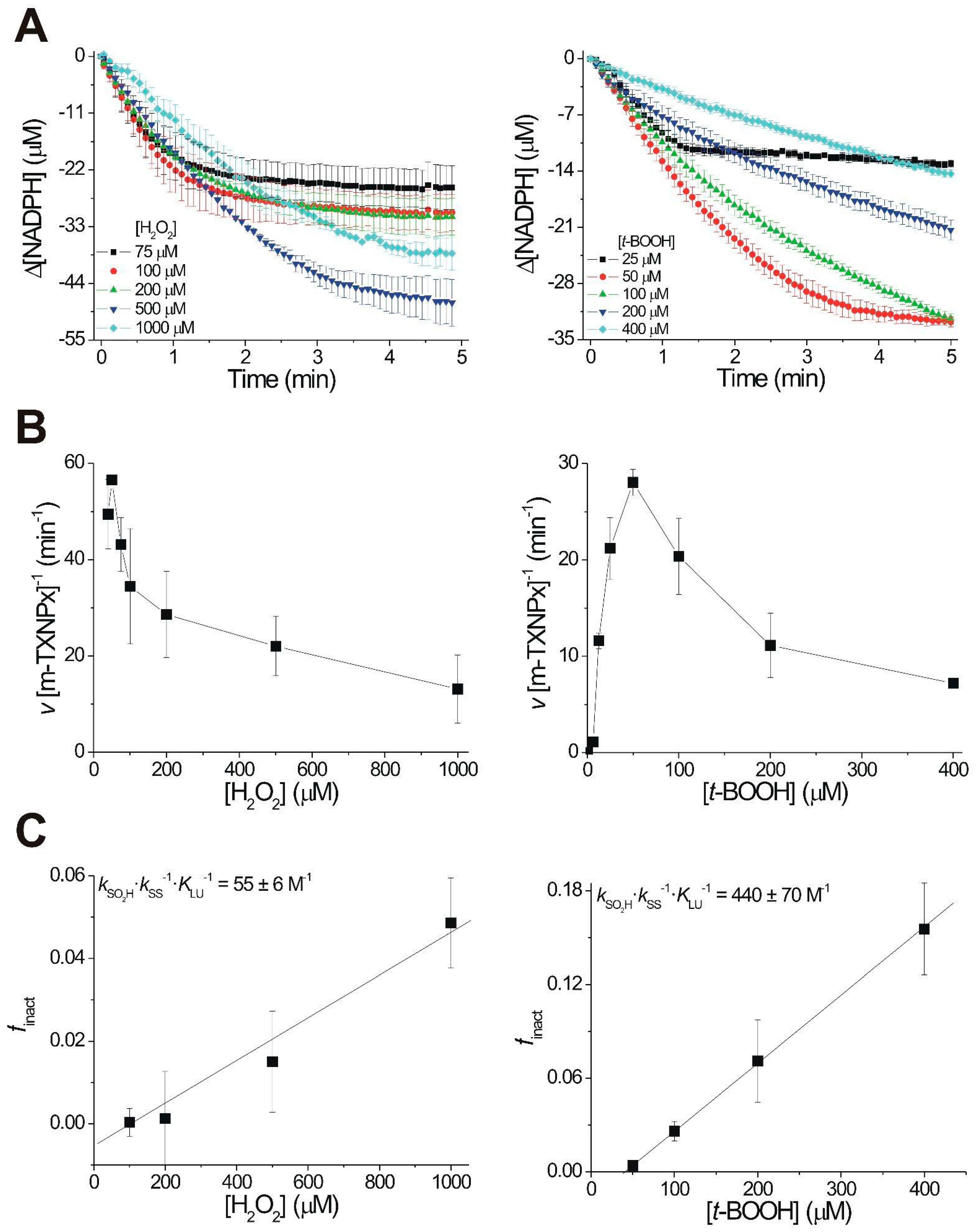 Pathogens 12 01273 g003 Pathogens 12 01273 g003