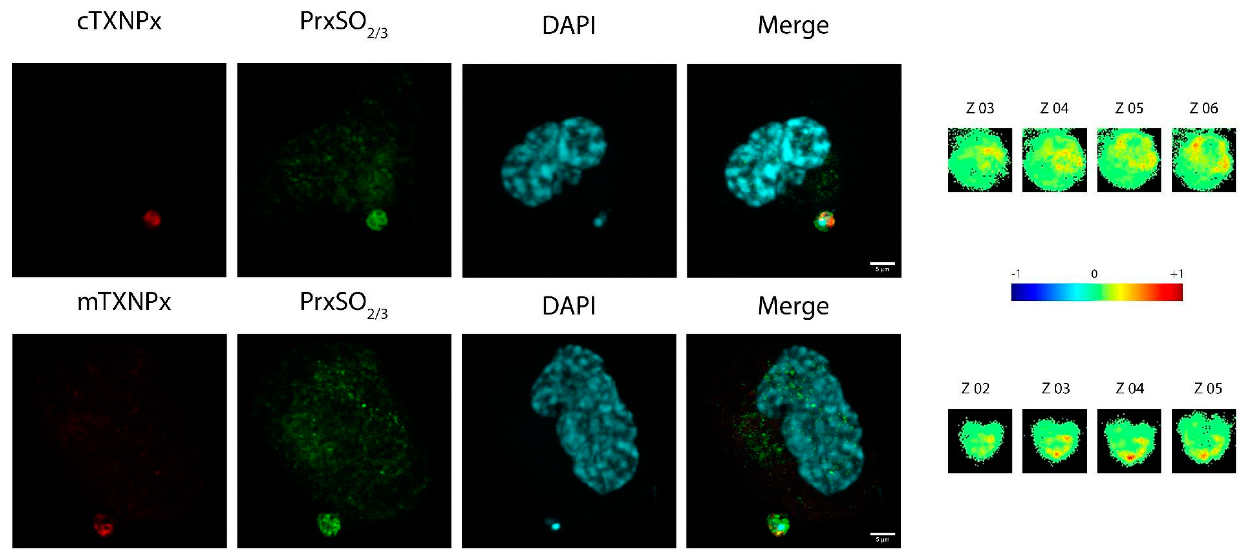 Pathogens 12 01273 g006 Pathogens 12 01273 g006