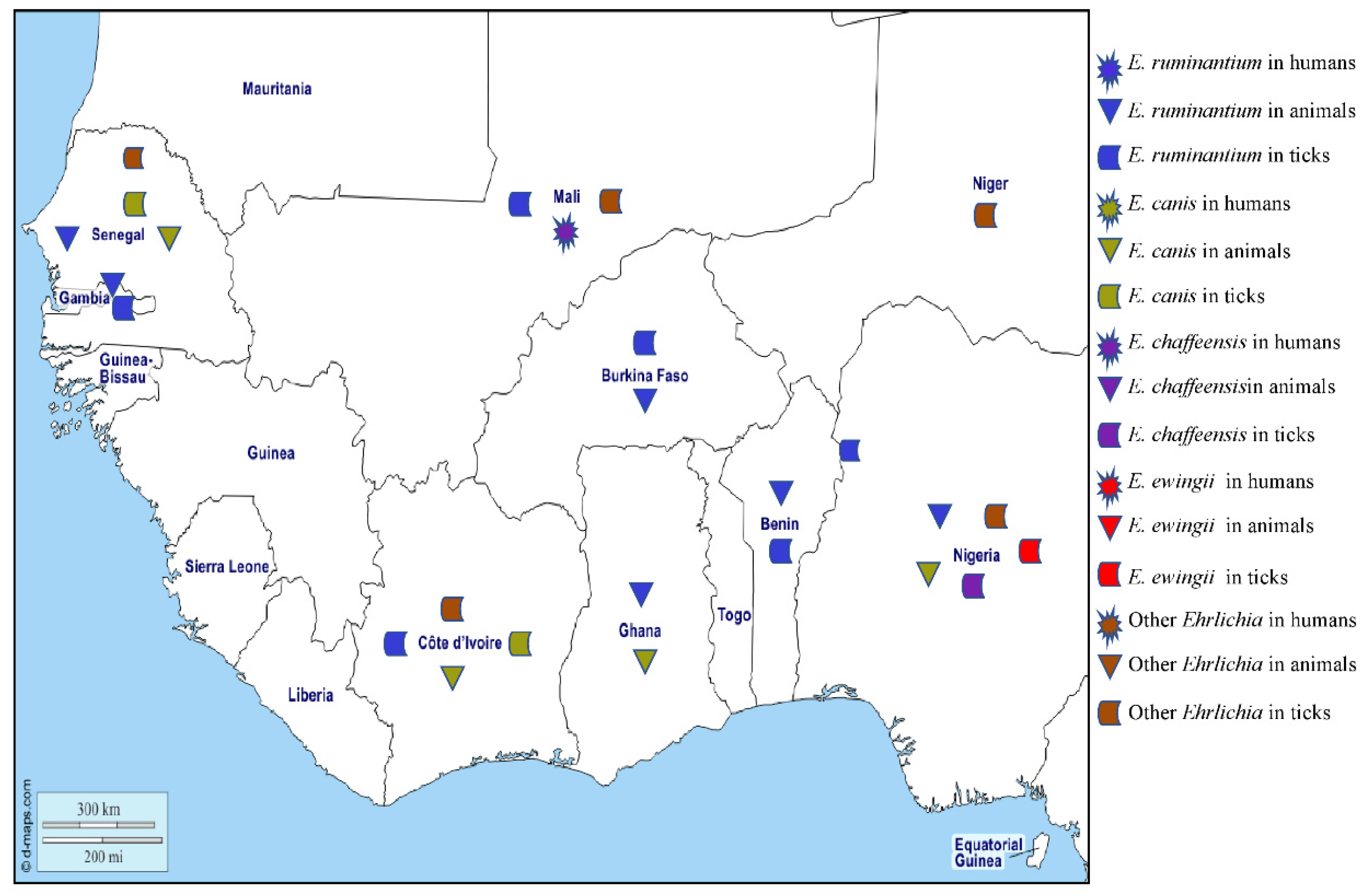Pathogens 12 01276 g005 Pathogens 12 01276 g005