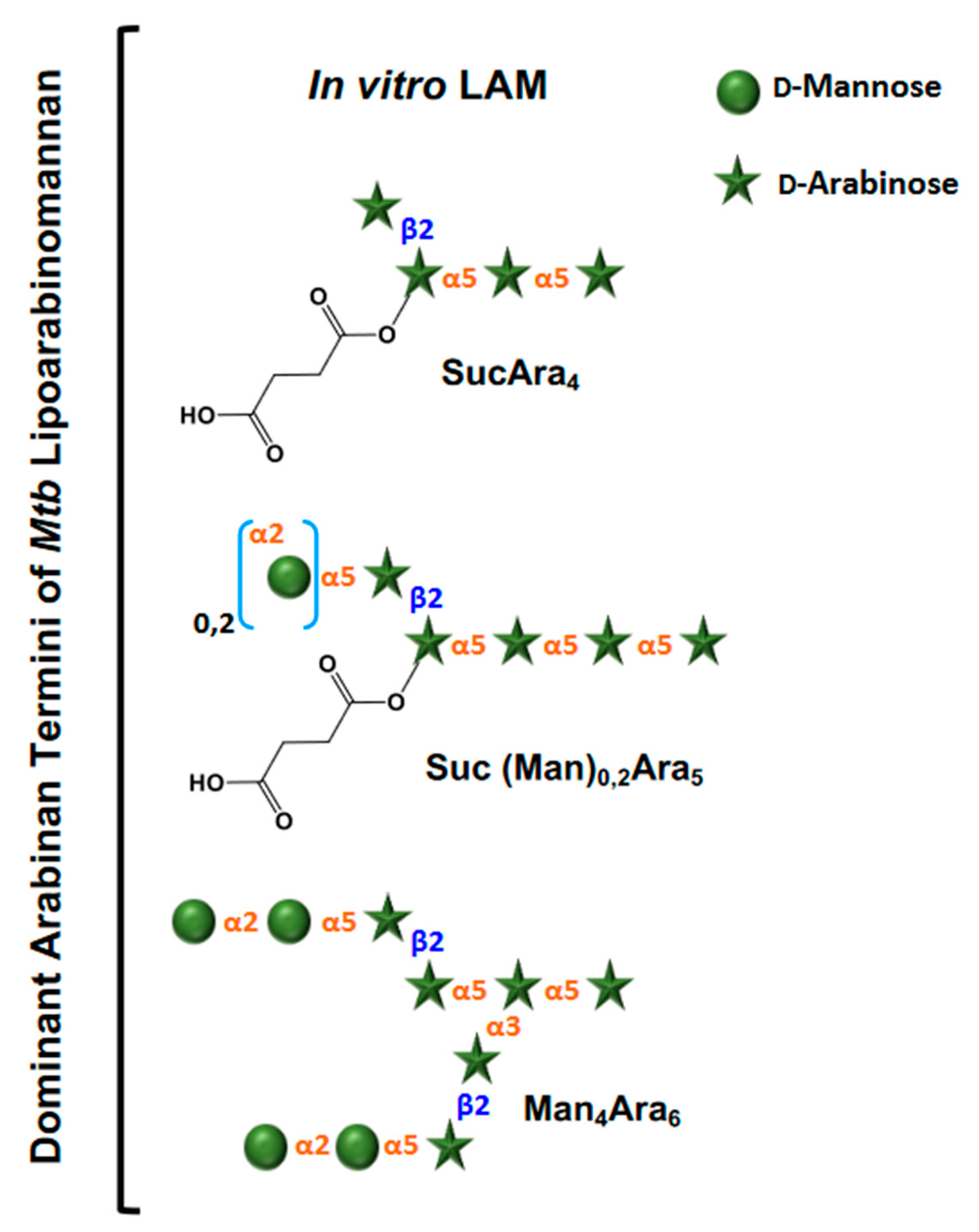 Pathogens 12 01281 g003