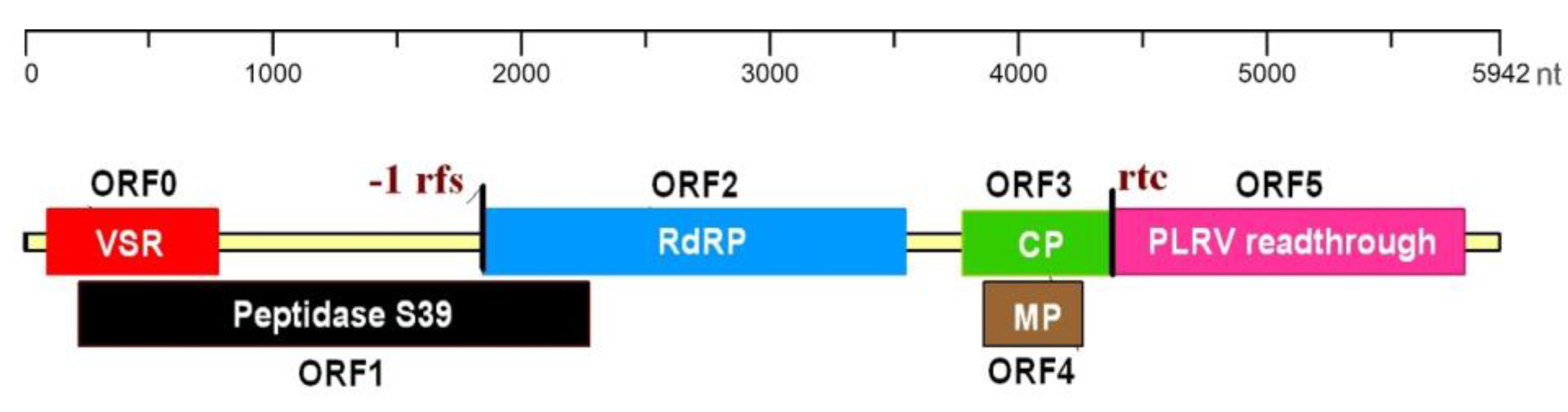 Pathogens 12 01284 g001 Pathogens 12 01284 g001