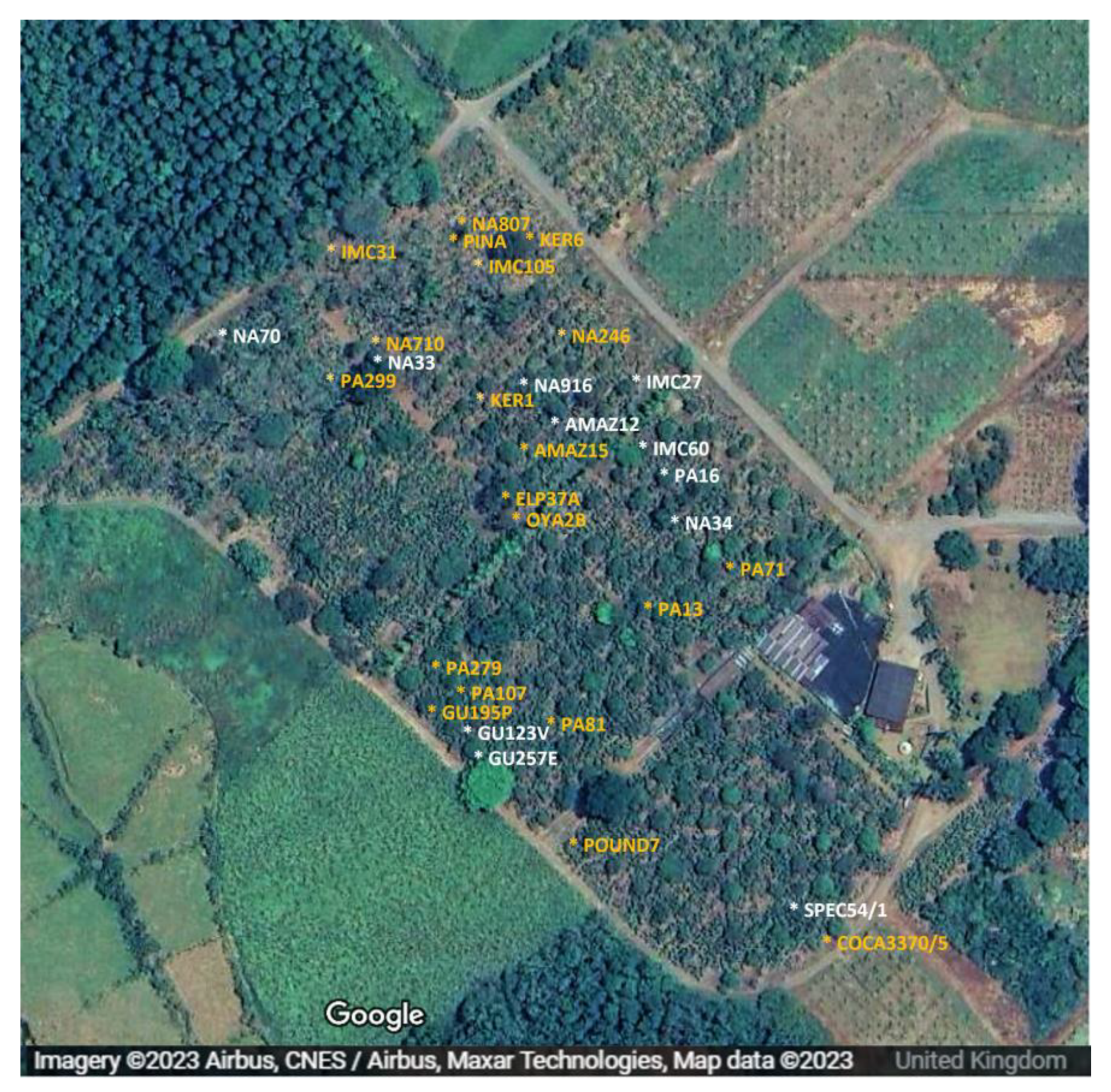 Pathogens 12 01284 g005 Pathogens 12 01284 g005