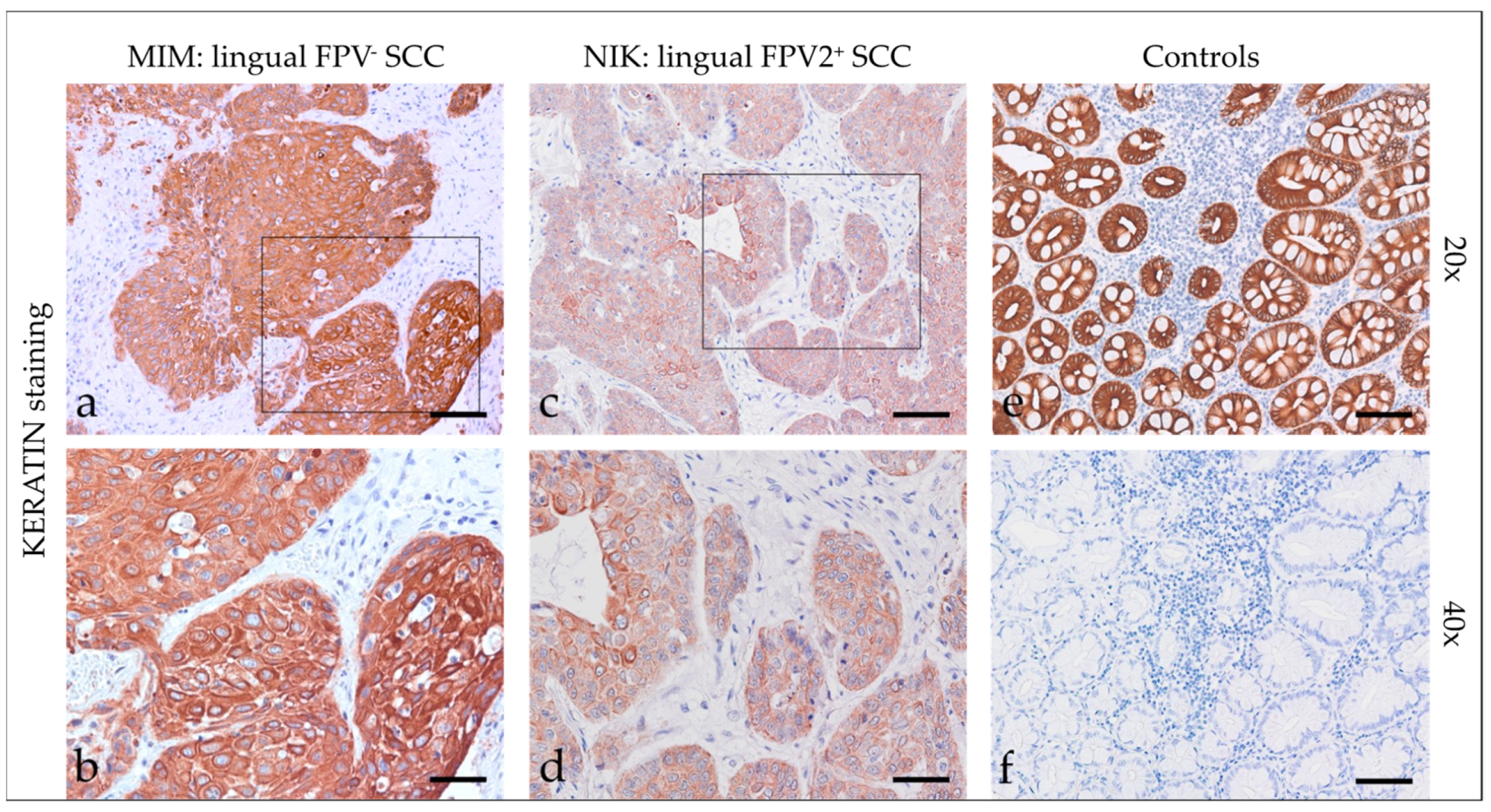 Pathogens 12 01288 g001 Pathogens 12 01288 g001