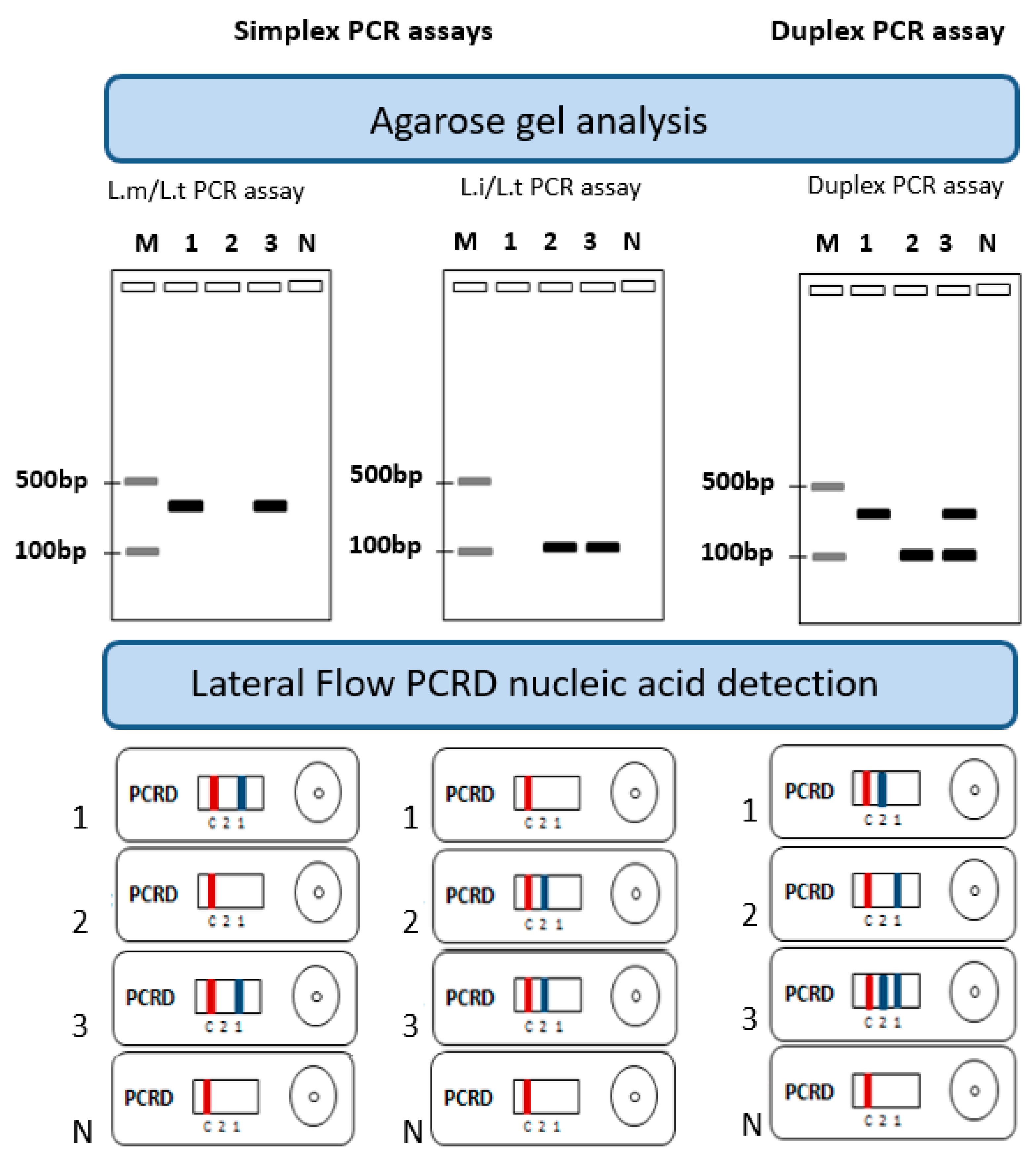 Pathogens 12 01292 g001