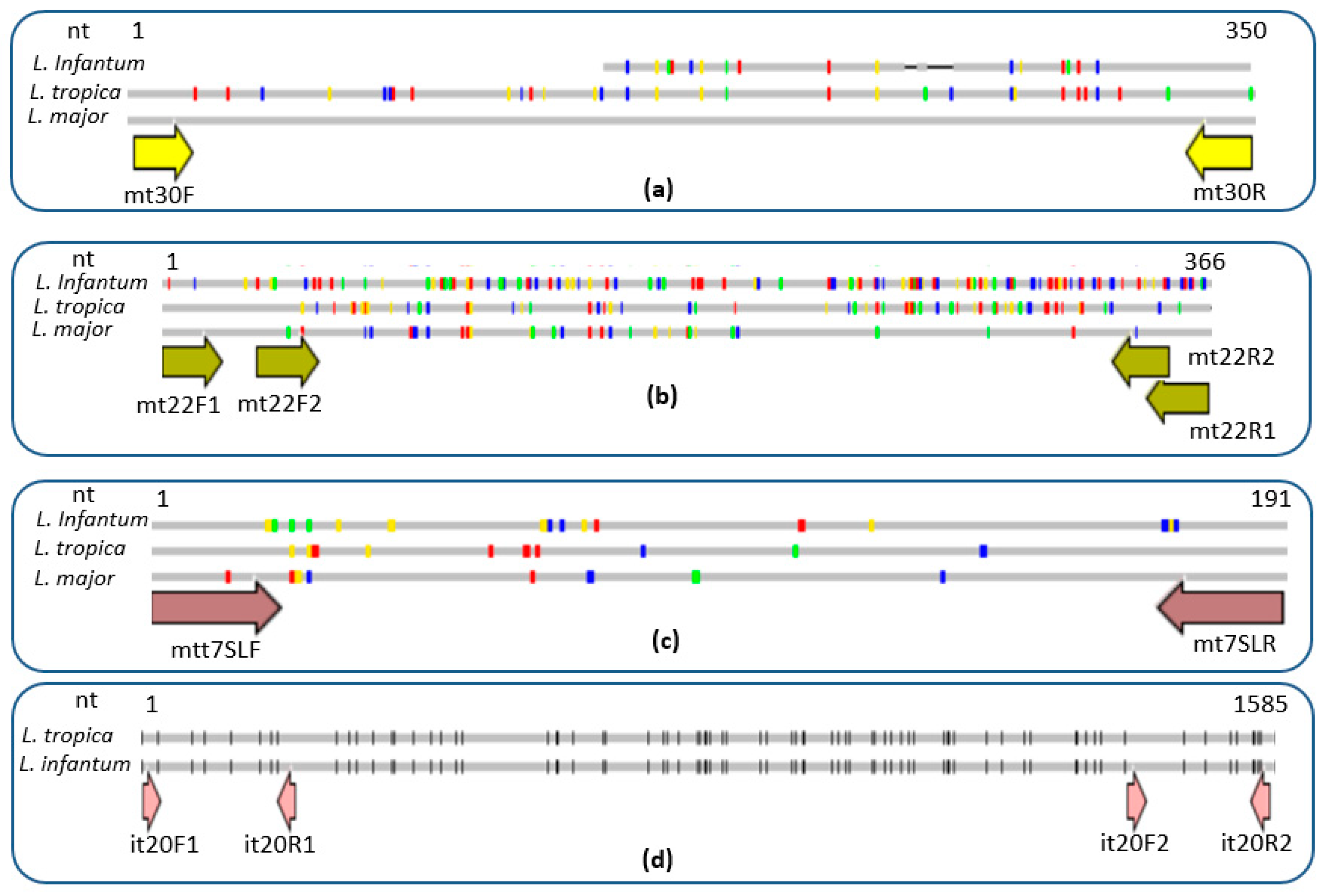 Pathogens 12 01292 g002