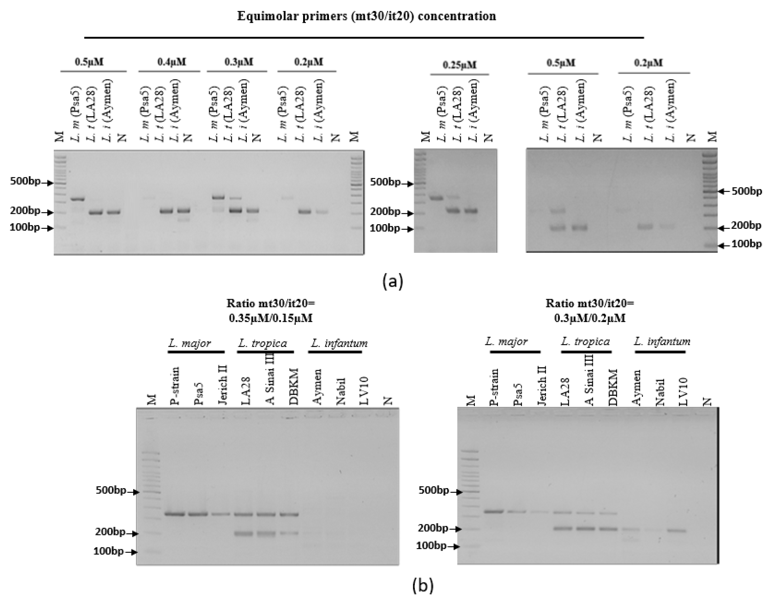Pathogens 12 01292 g005