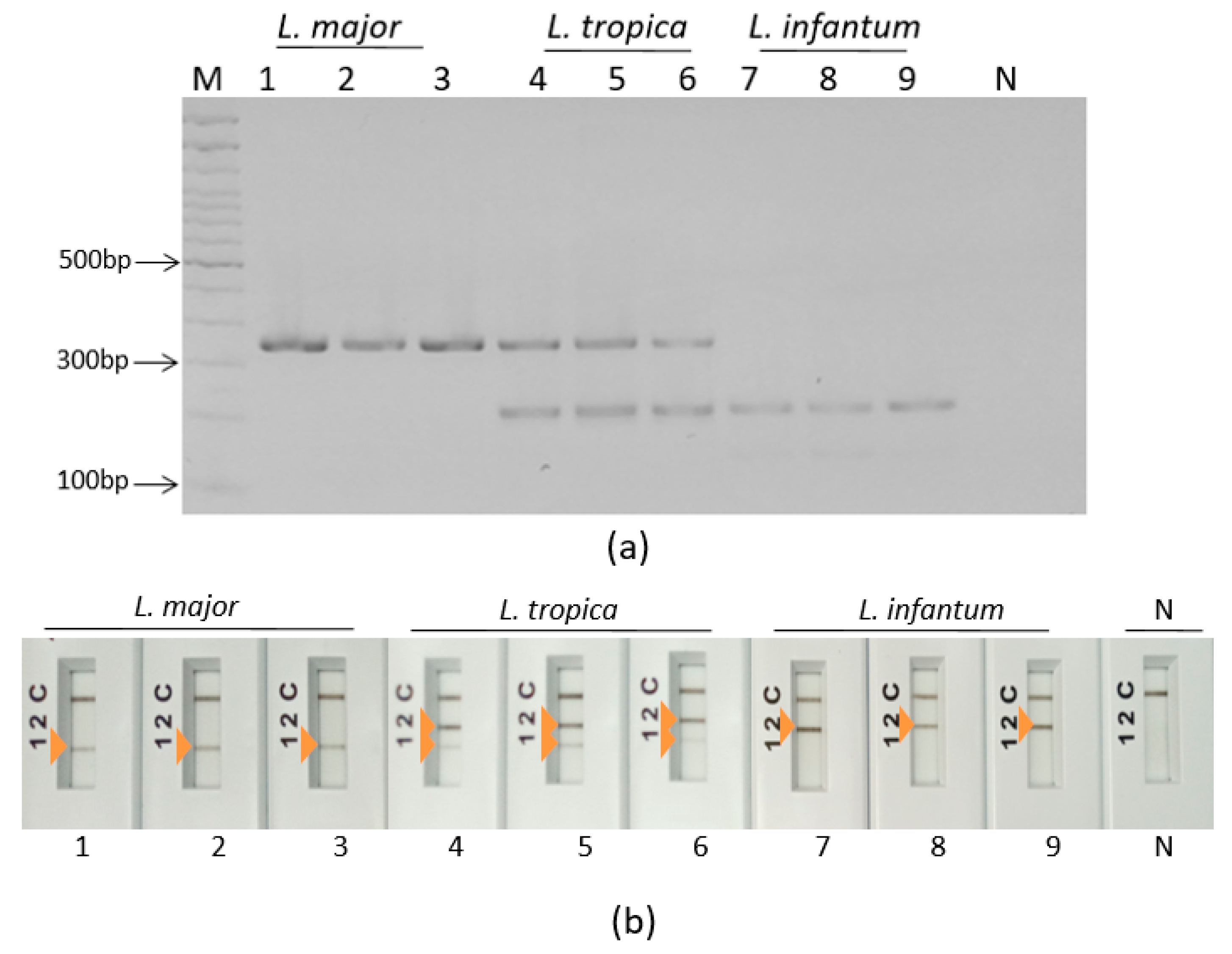 Pathogens 12 01292 g006
