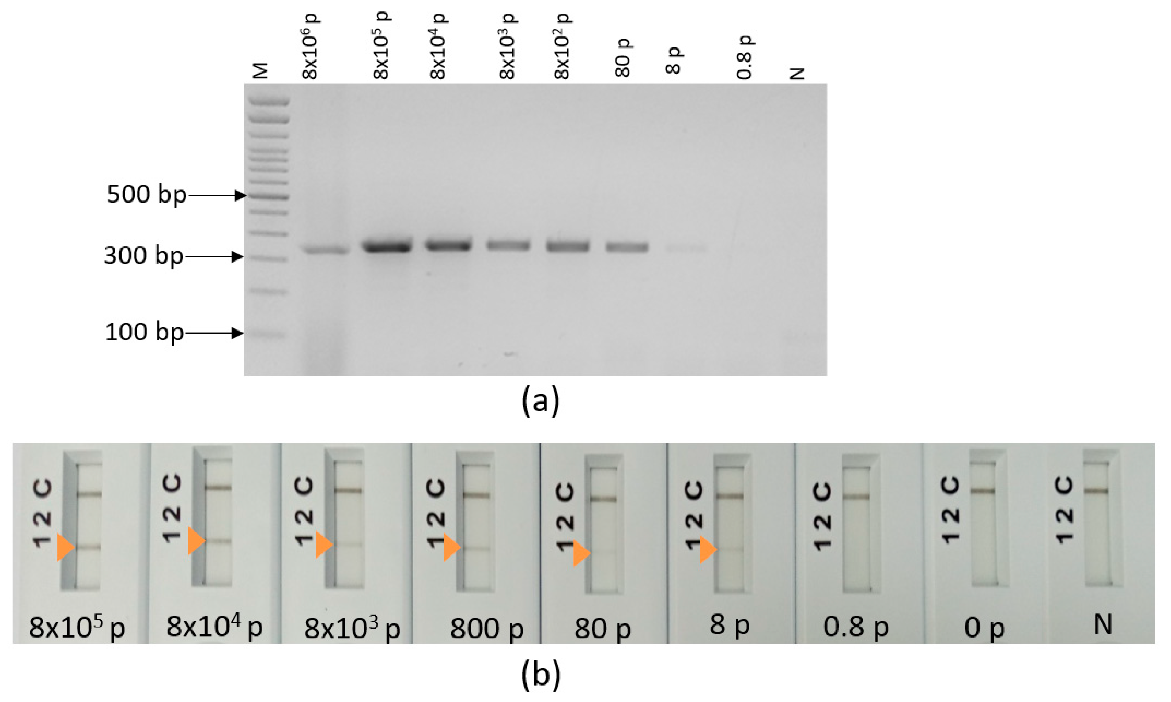 Pathogens 12 01292 g009