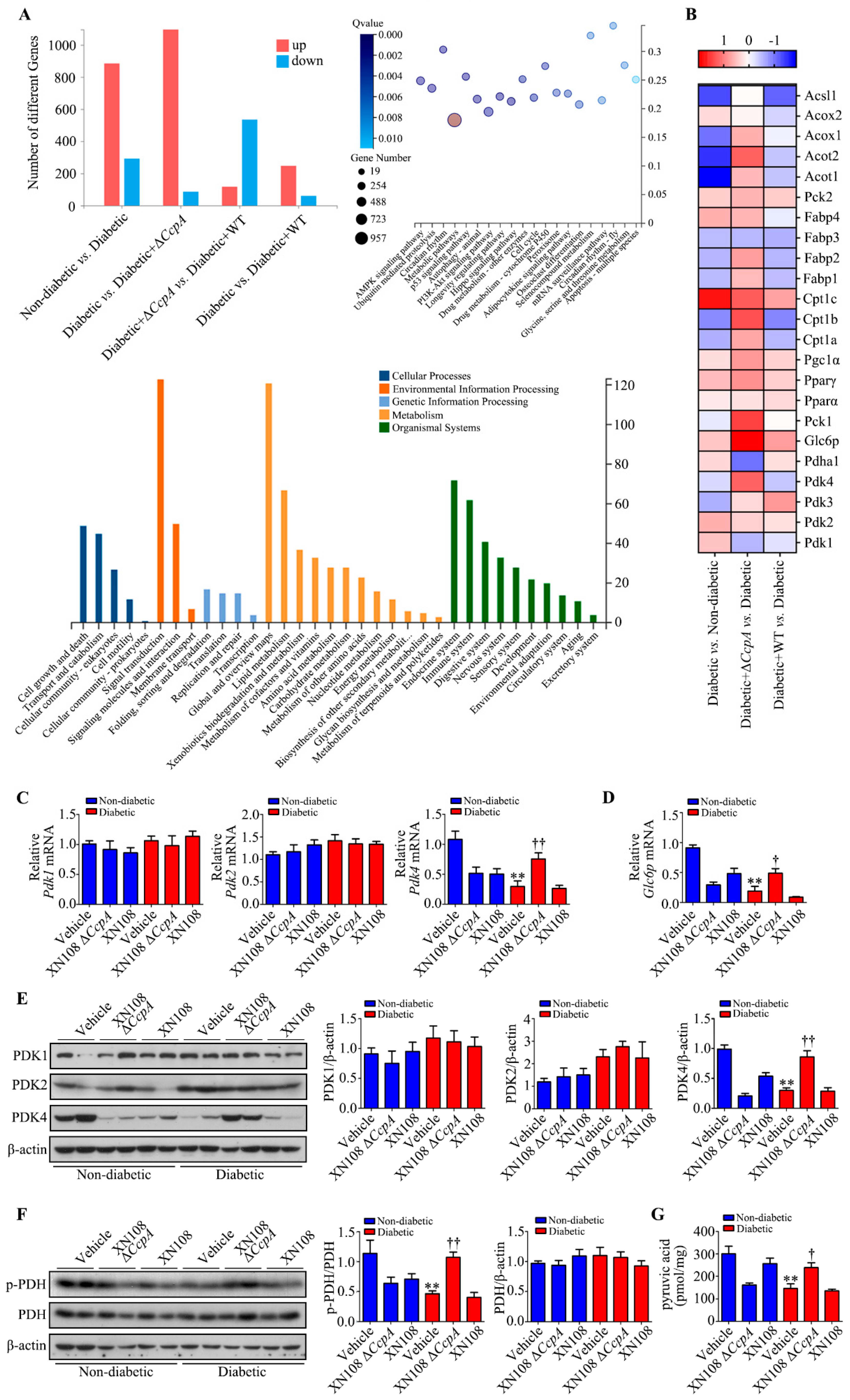 Pathogens 12 01300 g003