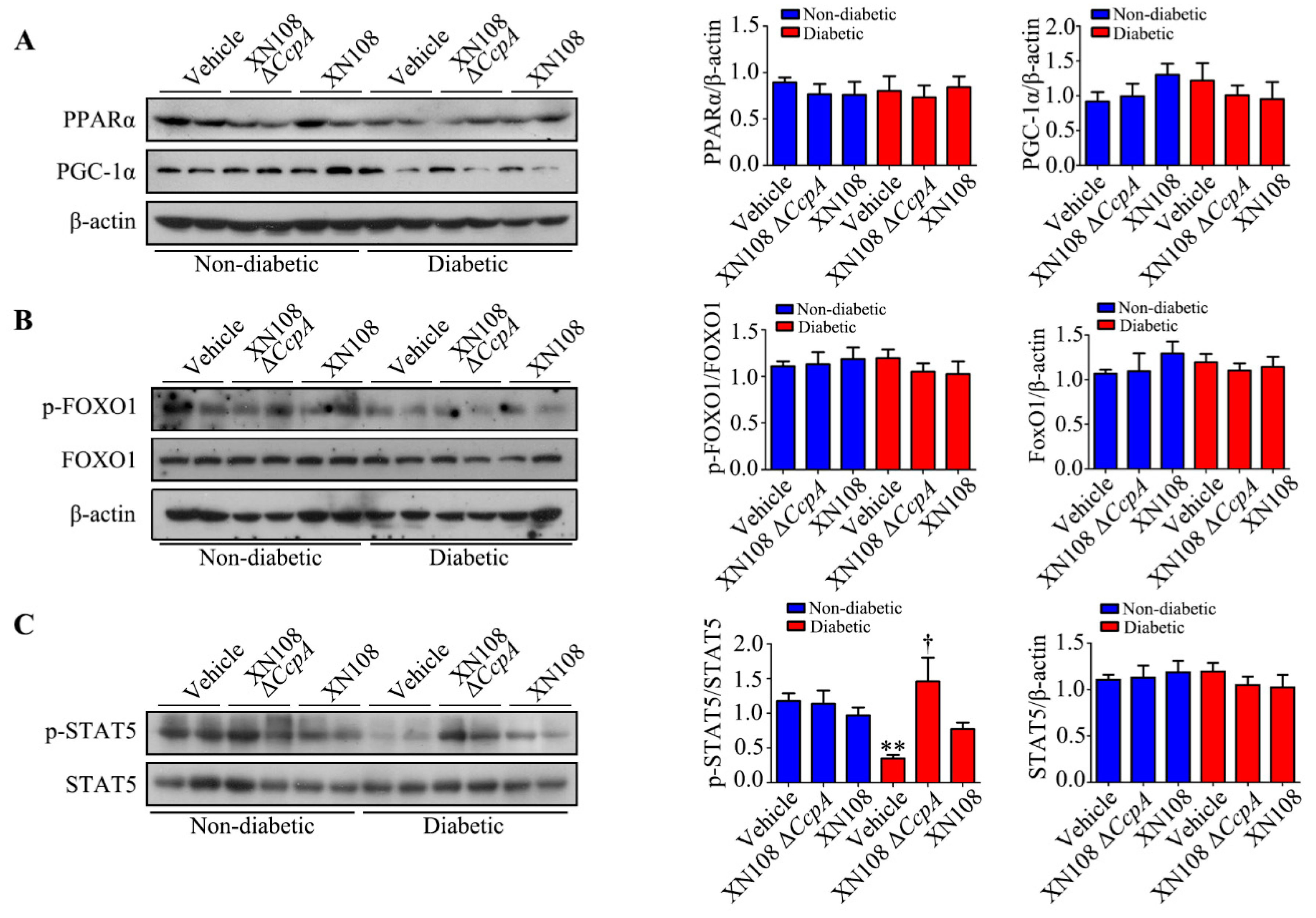 Pathogens 12 01300 g004